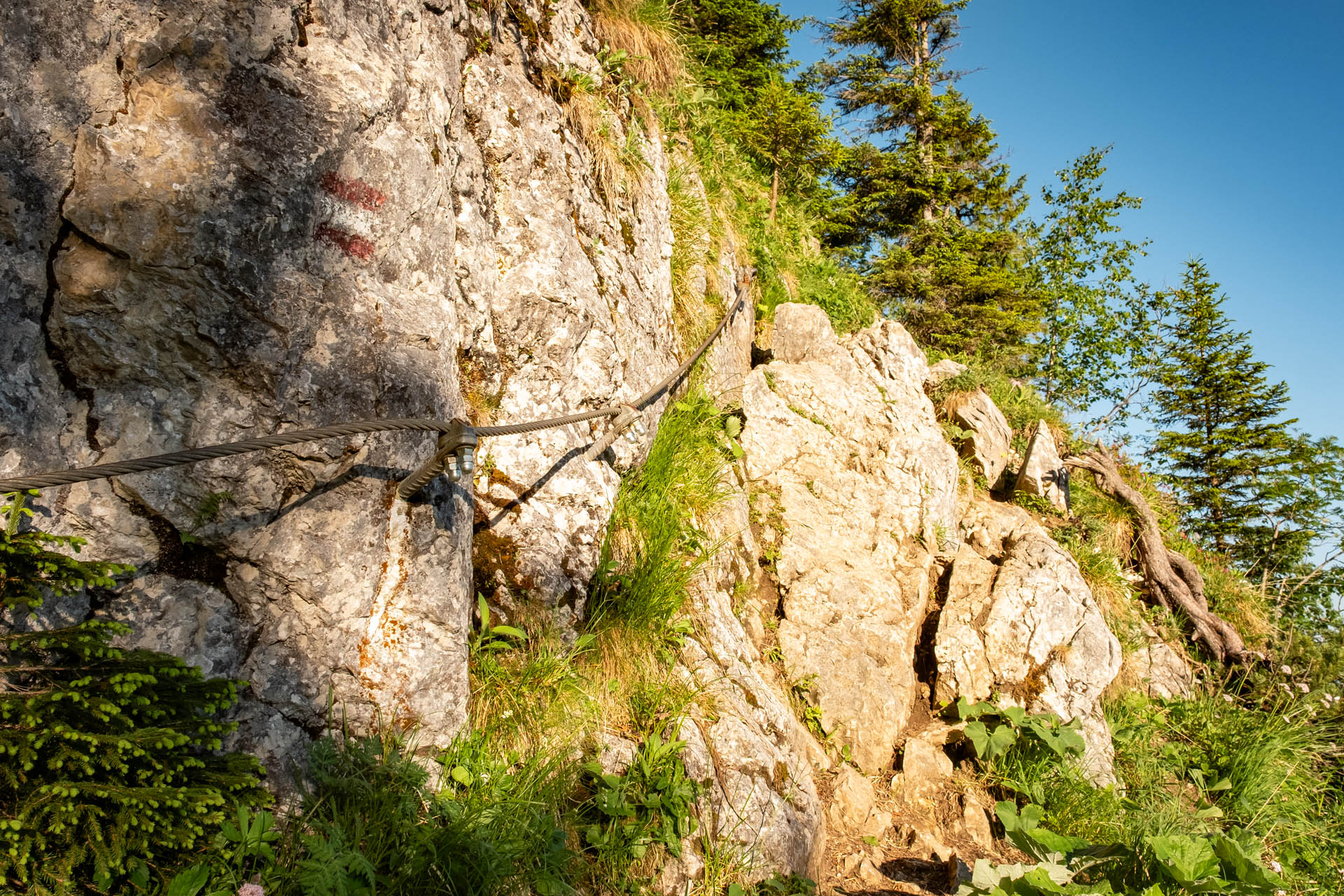 Säuling - Aussichtsreiche Wanderung ab Hohenschwangau im Ostallgäu