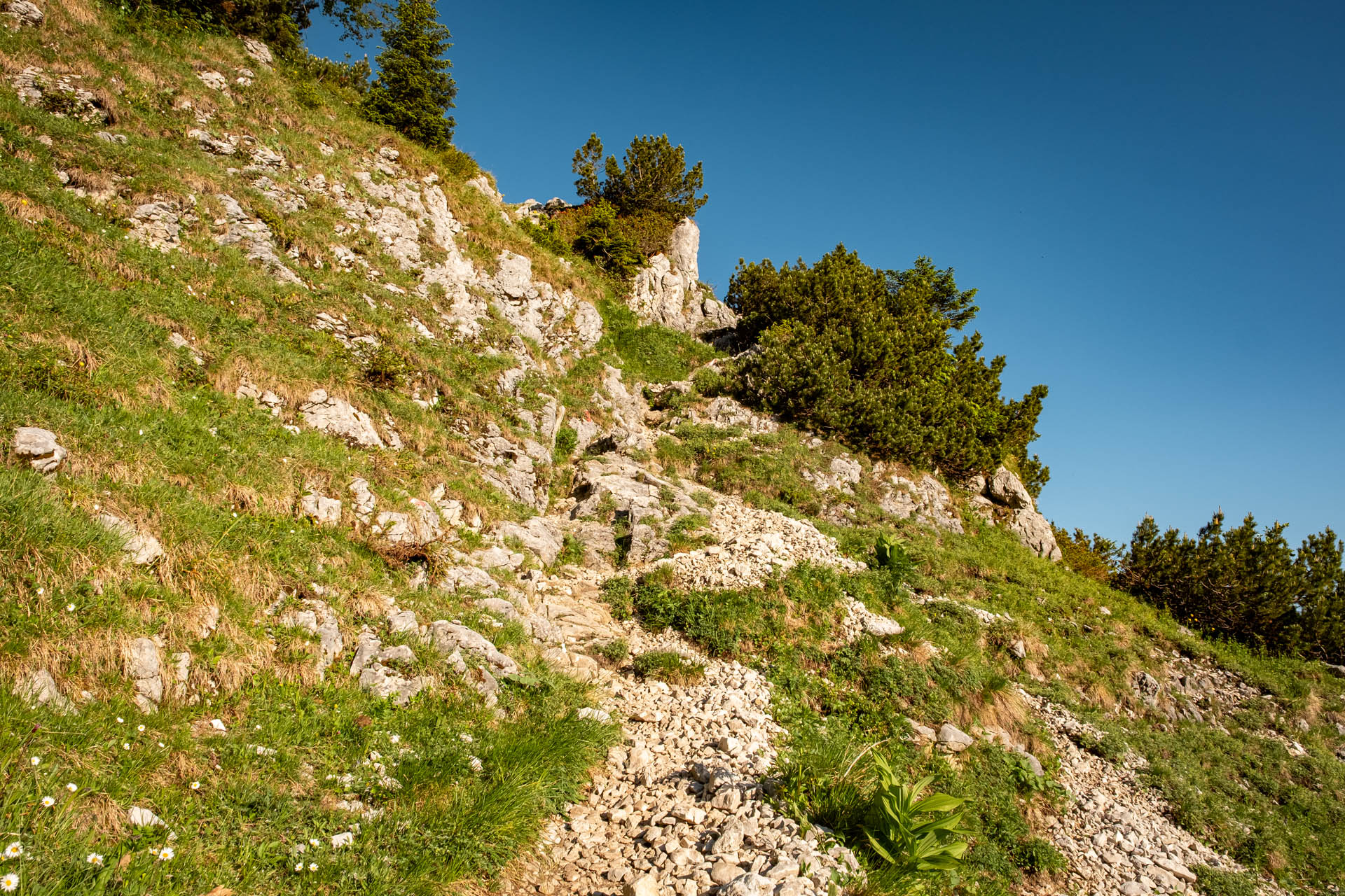 Säuling - Aussichtsreiche Wanderung ab Hohenschwangau im Ostallgäu