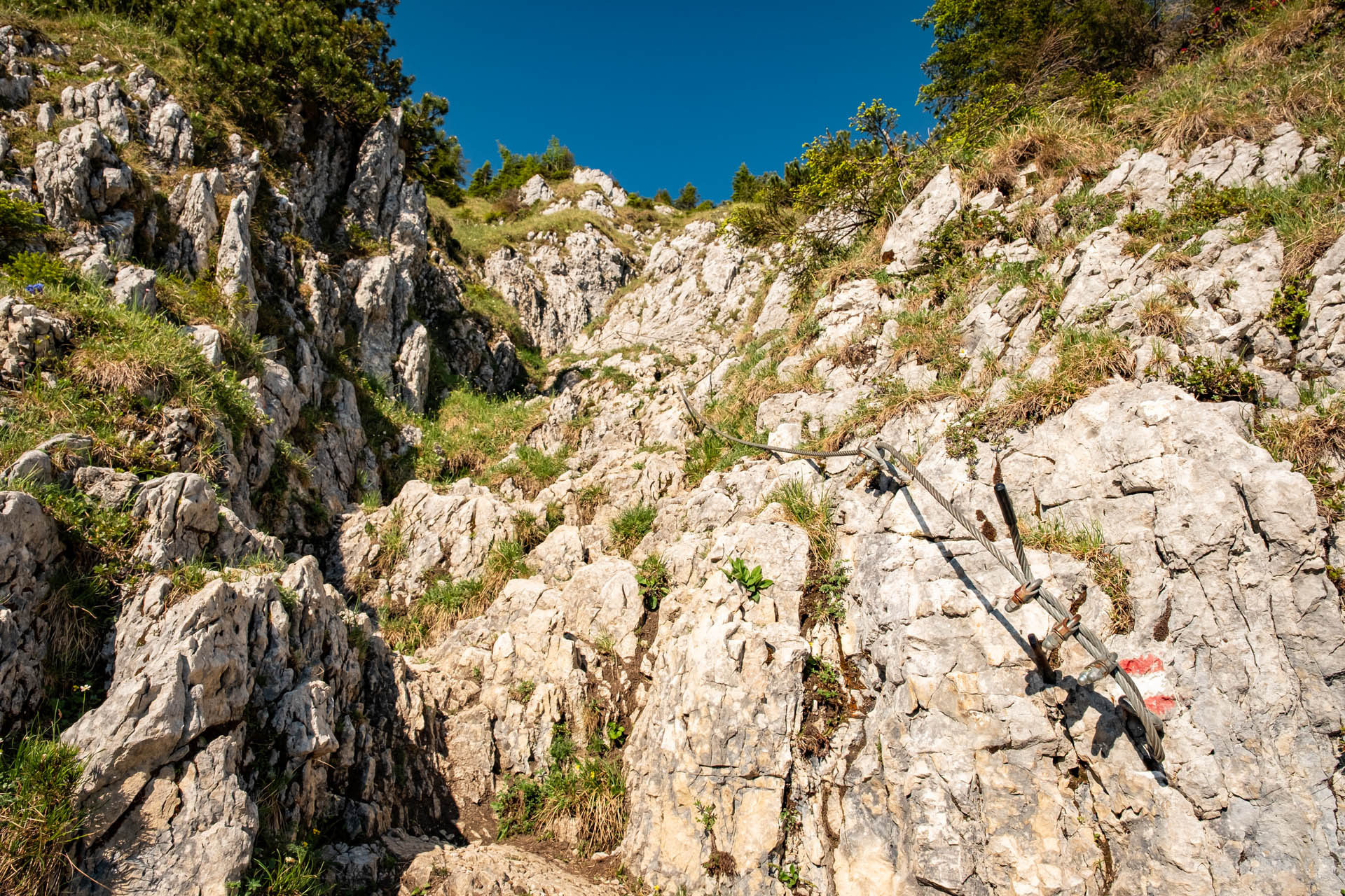 Säuling - Aussichtsreiche Wanderung ab Hohenschwangau im Ostallgäu
