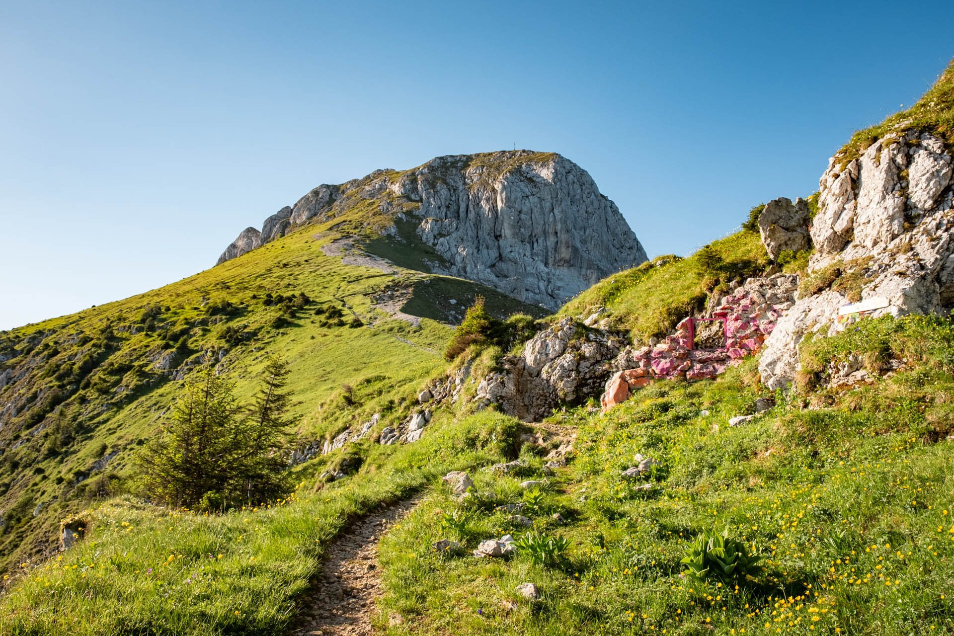 Säuling - Aussichtsreiche Wanderung ab Hohenschwangau im Ostallgäu
