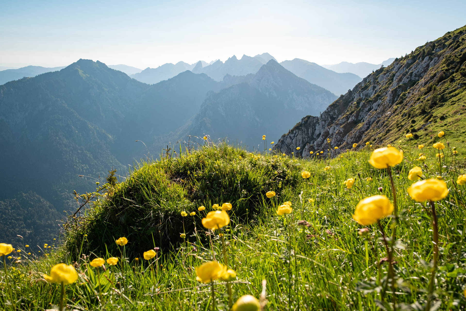 Säuling - Aussichtsreiche Wanderung ab Hohenschwangau im Ostallgäu