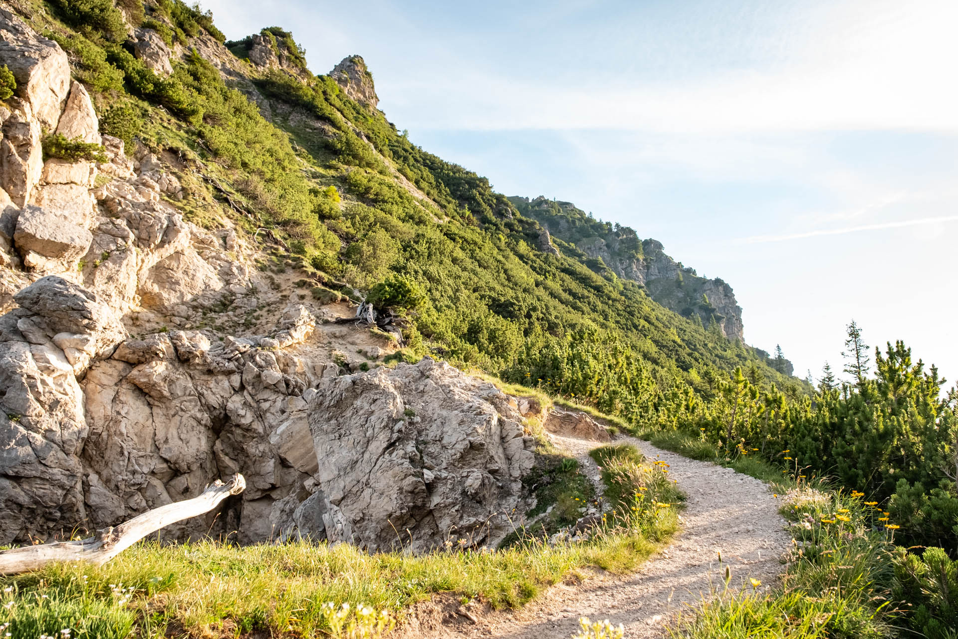 Vilser Kegel - Mittelschwere Wanderung über die Vilser Alm