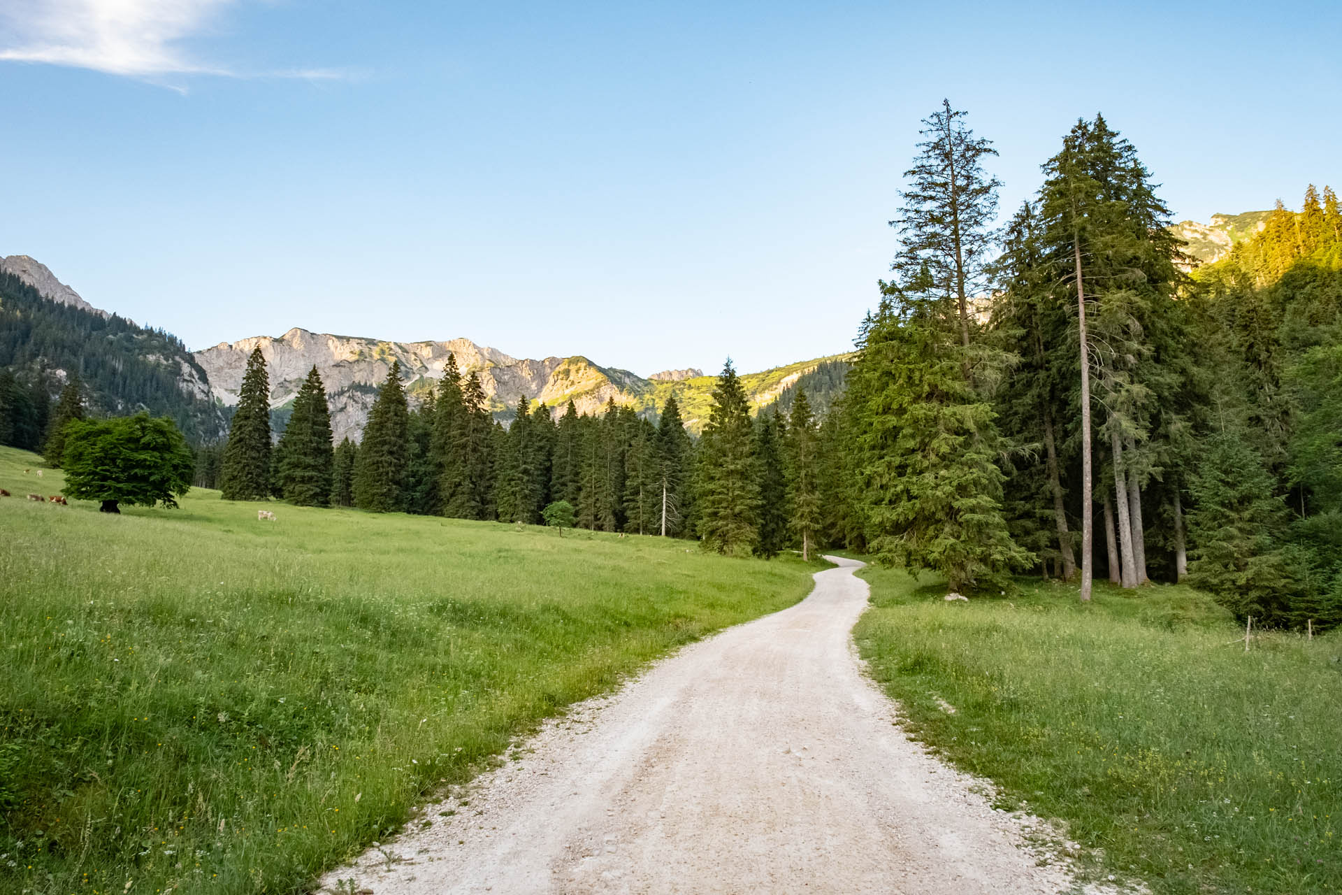 Vilser Kegel - Mittelschwere Wanderung über die Vilser Alm