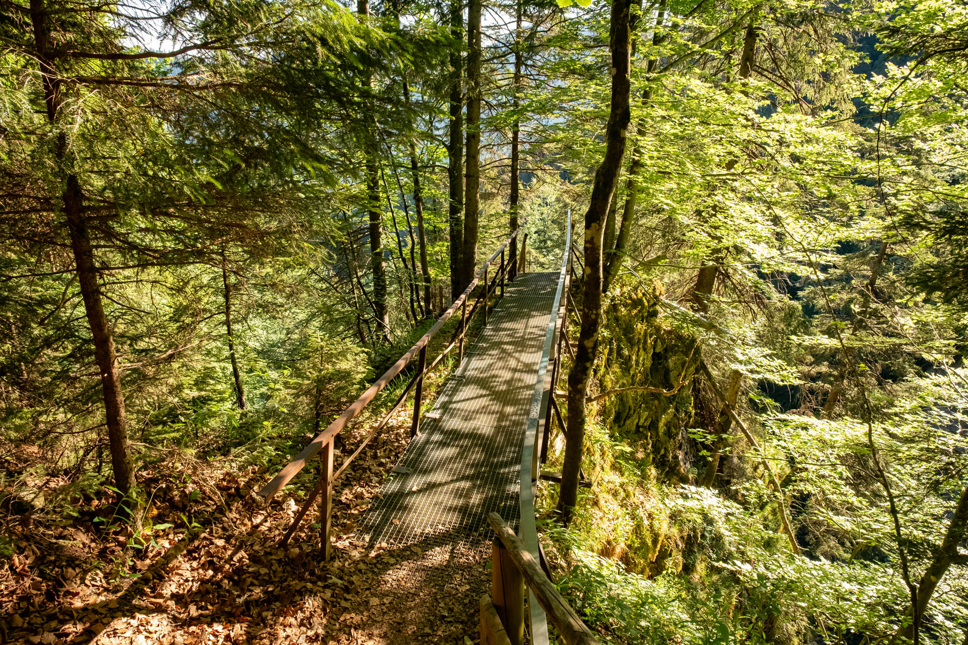 Brücke in der Reichenbachklamm