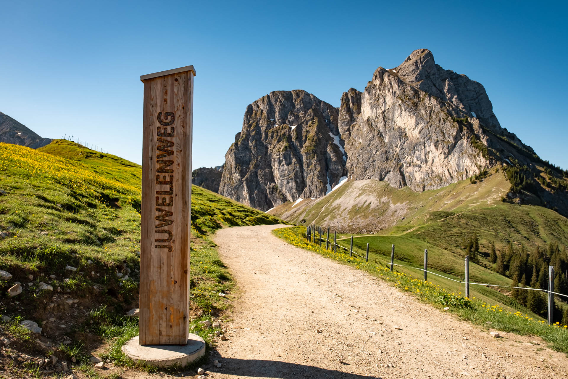 Der Juwelenweg am Aggenstein mit Bergmassiv im Hintergrund - Aufstieg Richtung Breitenberg