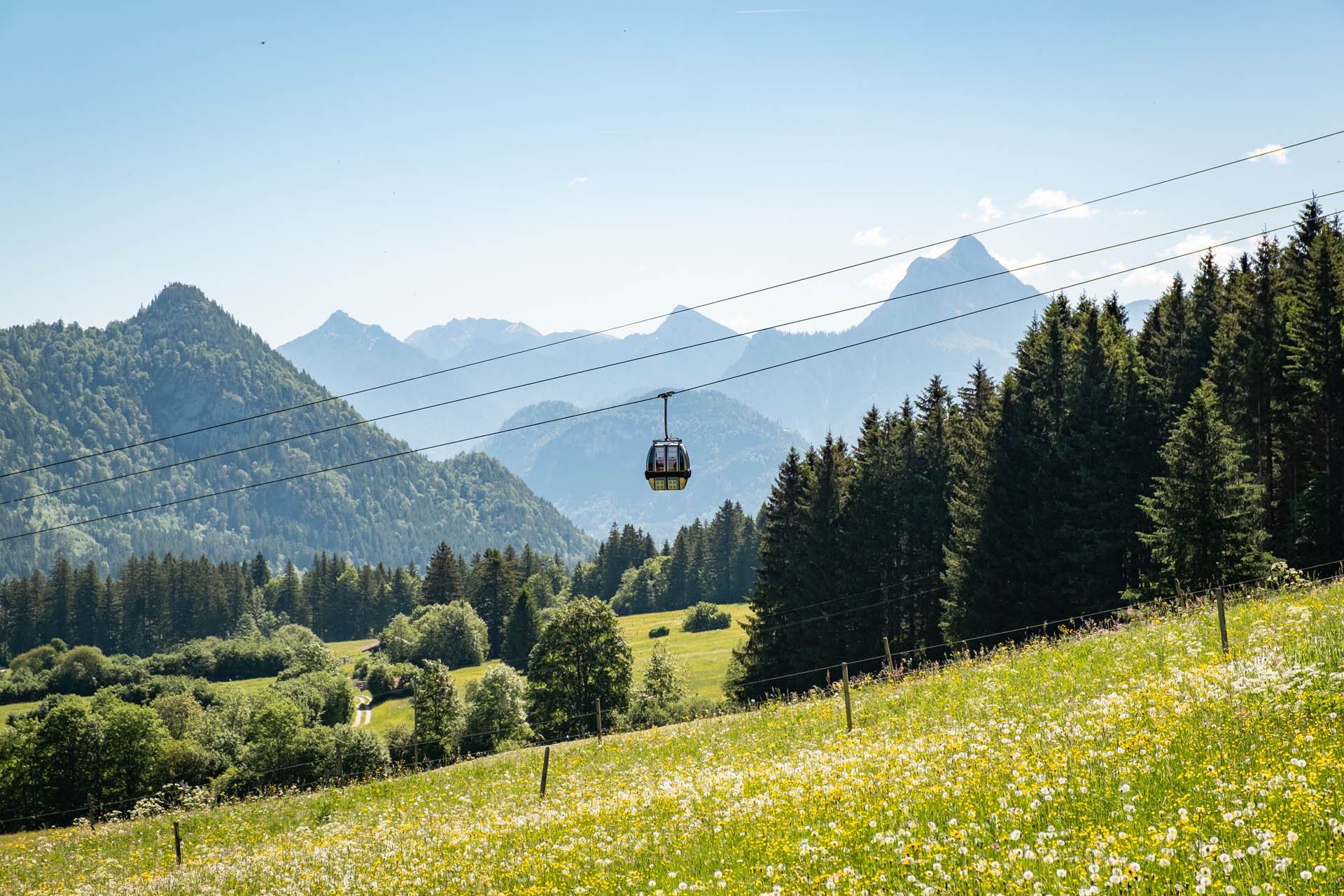 Seilbahn über blühenden Wiesen mit Bergen im Hintergrund im Abstieg von der Reichenbachklamm