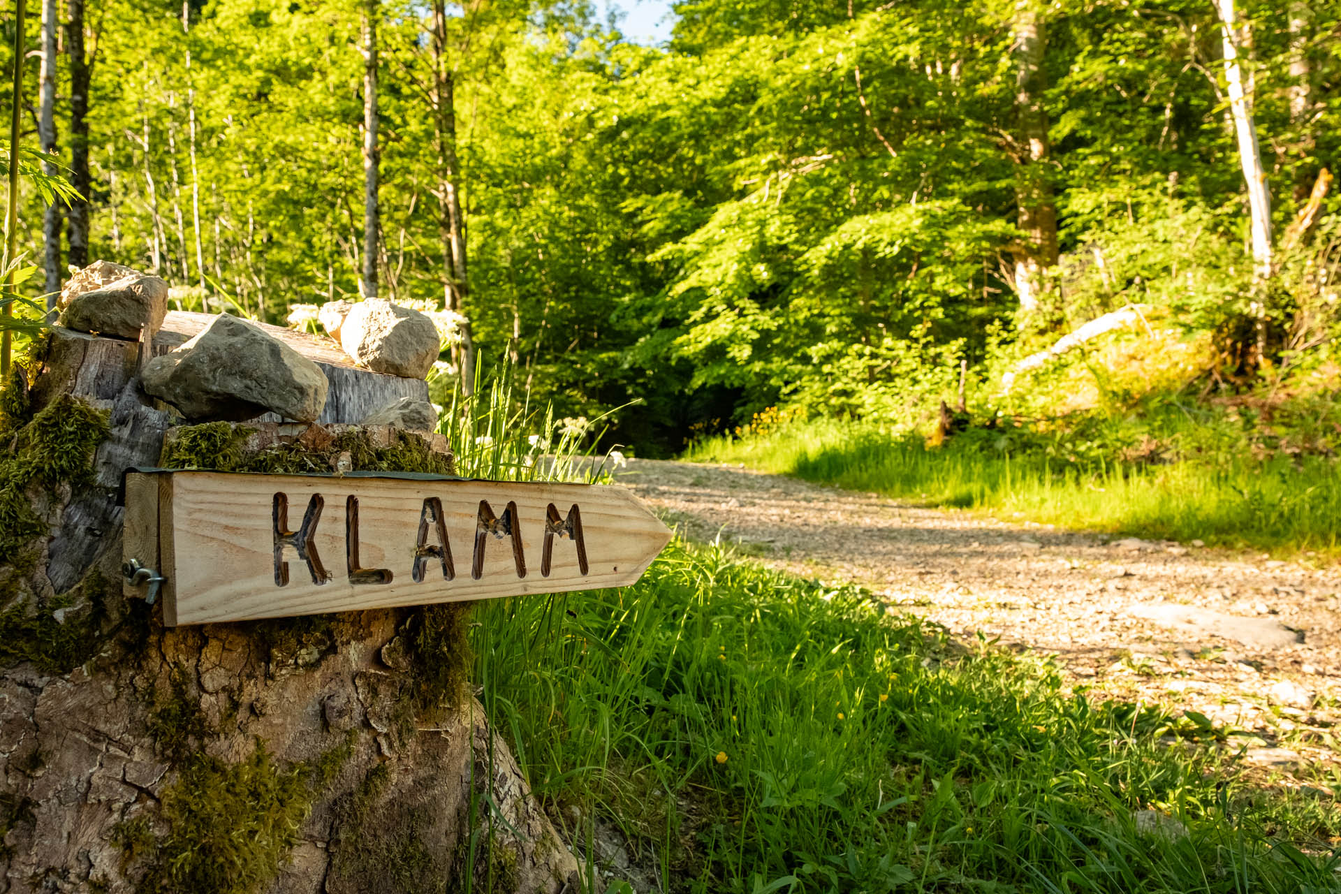Schild, dass im Wald den Weg zur Reichenbachklamm weist