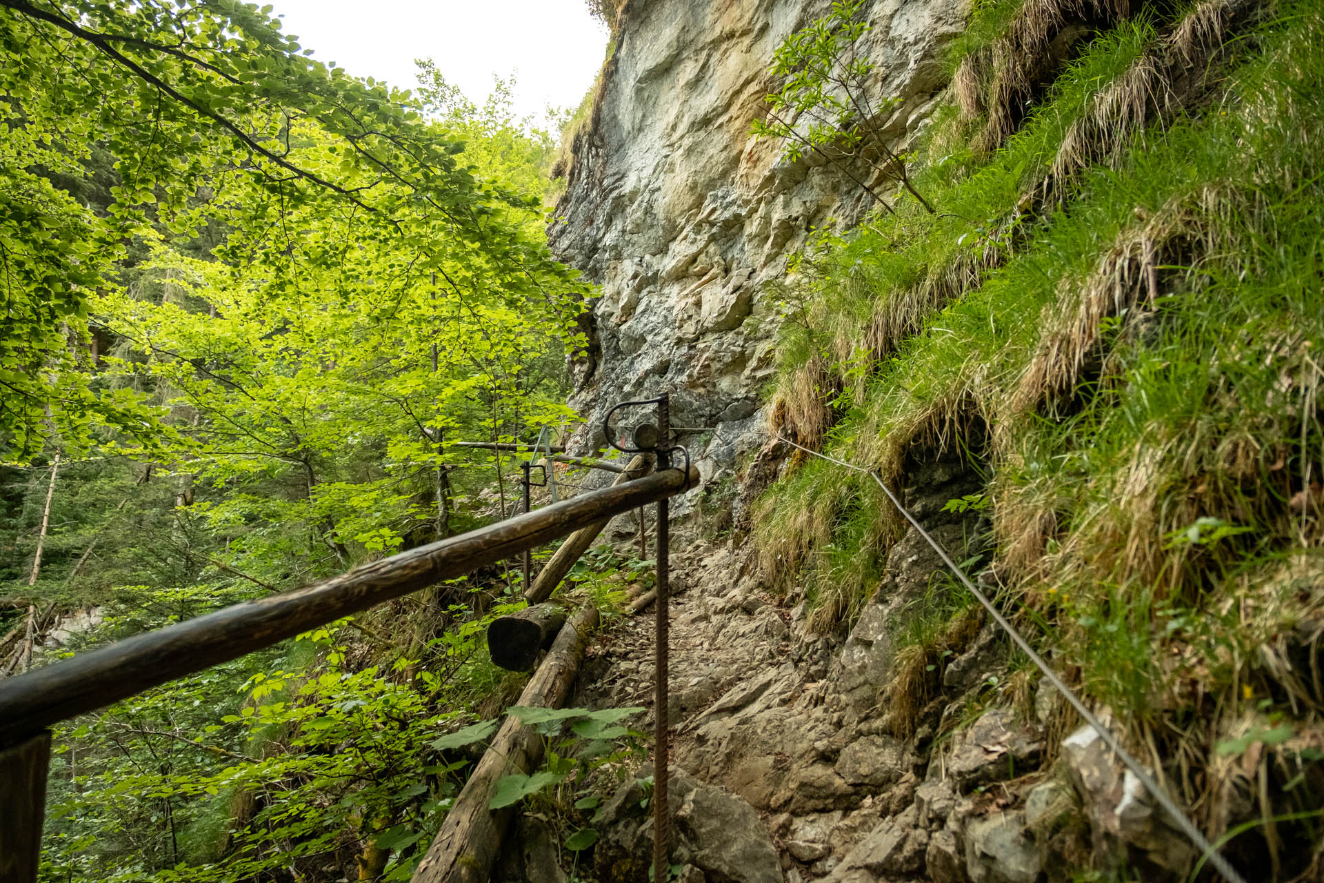 Seilversicherter Weg über Felsstufen in der Reichenbachklamm