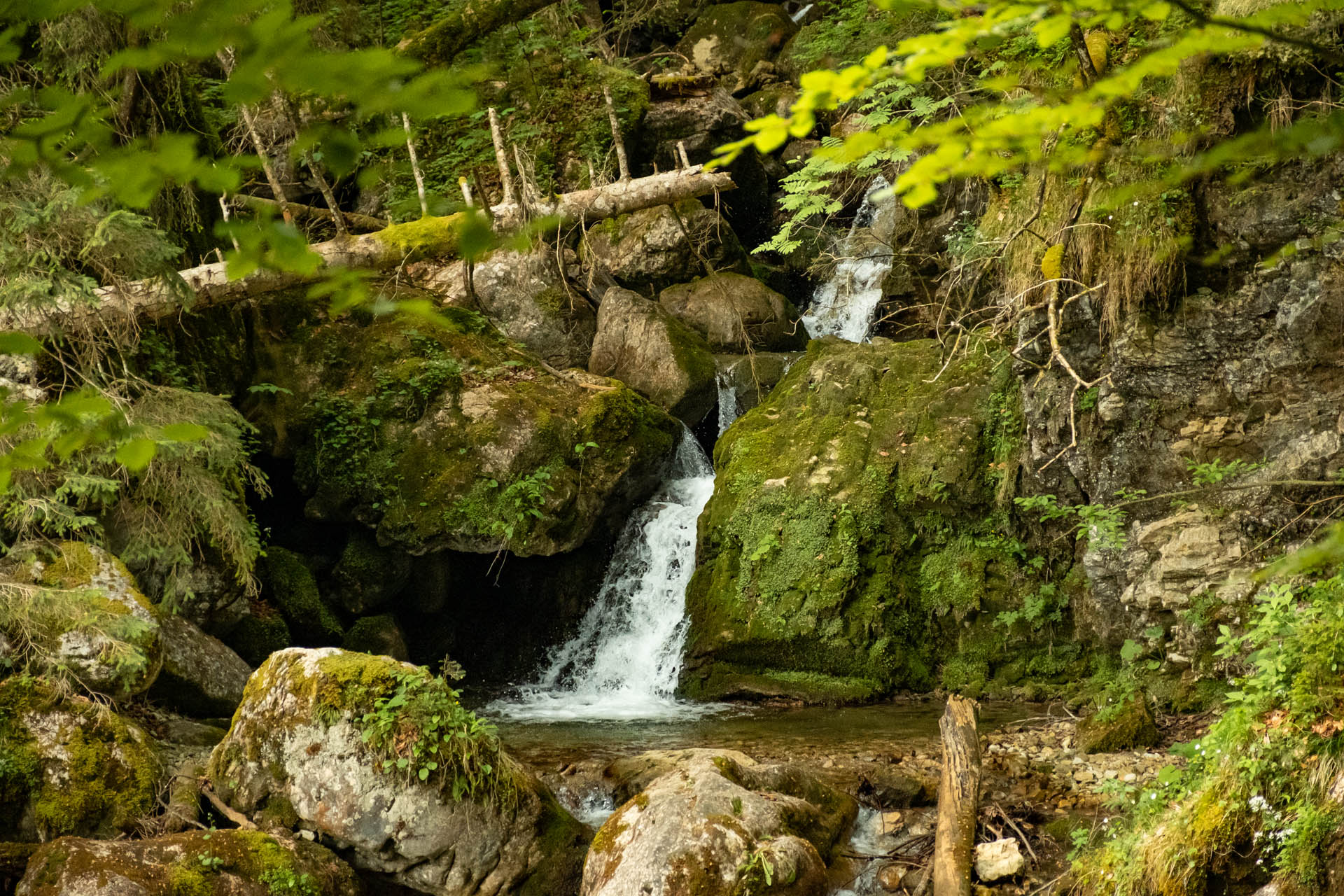 Wasserfall in der Reichenbachklamm