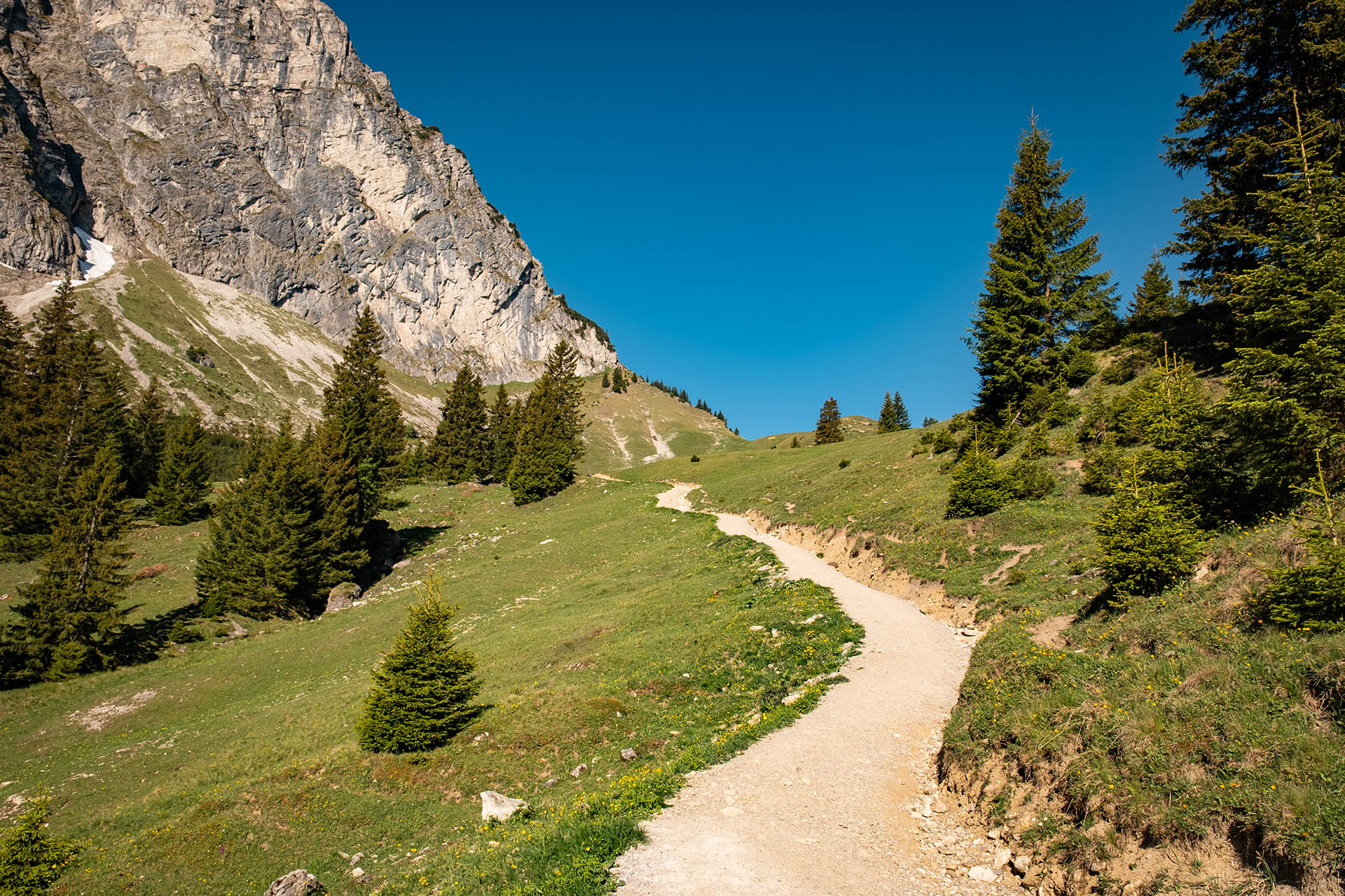 Breiter Wanderweg unterhalb des Aggensteins zum Breitenberg bei Pfronten