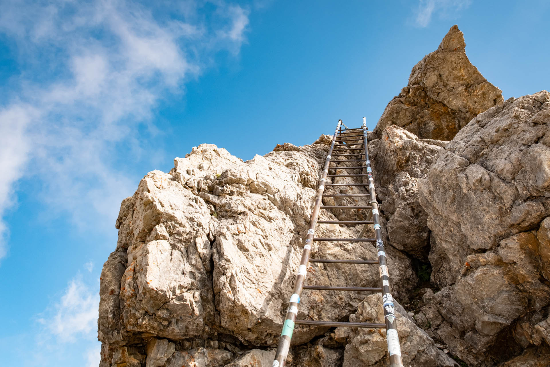 Leiter am Heilbronner Höhenweg
