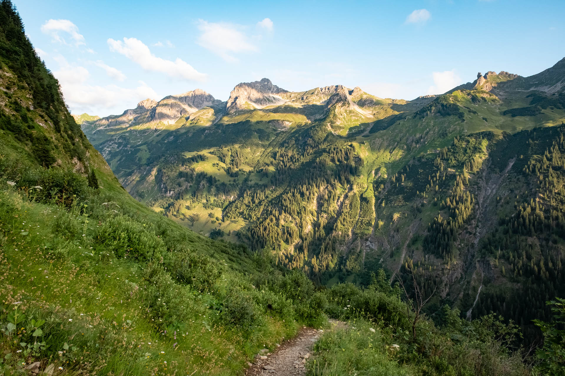 Weg zur Enzianhütte mit Blick auf die Schafalpenköpfe in den Allgäuer Alpen