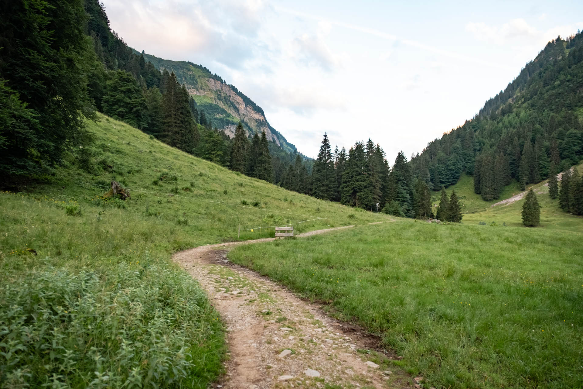 Wanderweg, der sich über eine Wiese schlängelt in den Allgäuer Alpen