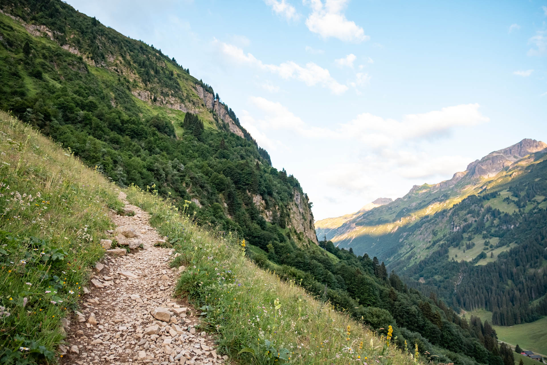 Wanderweg von der Petersalpe zur Enzianhütte in den Allgäuer Alpen