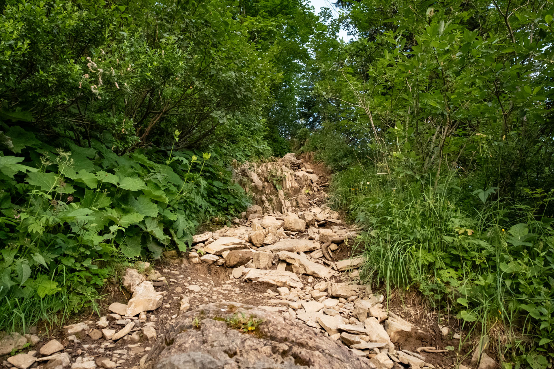 Felsdurchsetzter Wanderweg in den Allgäuer Alpen auf dem Weg zur Enzianhütte