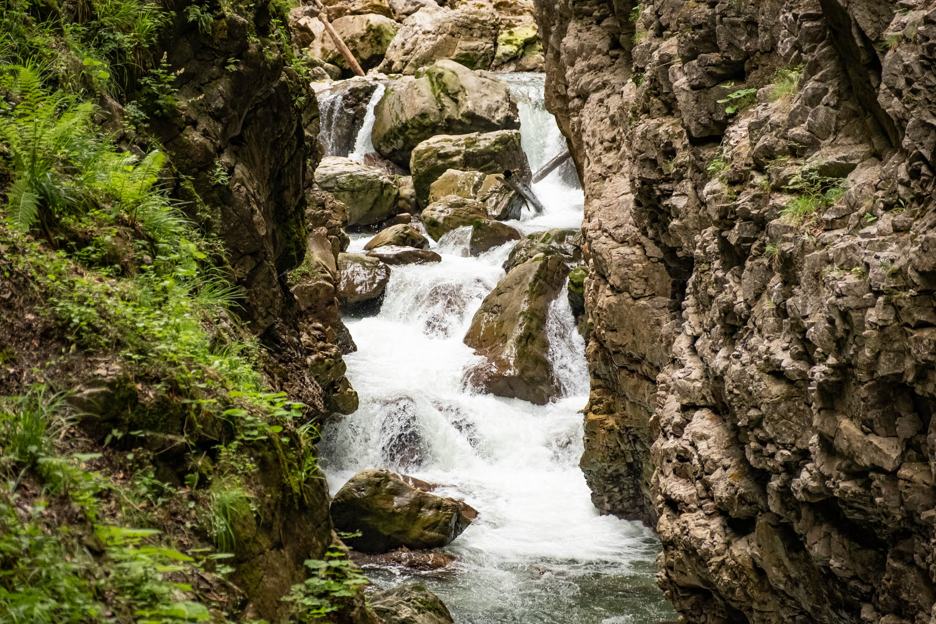 Wildwasser der Breitach im Allgäu