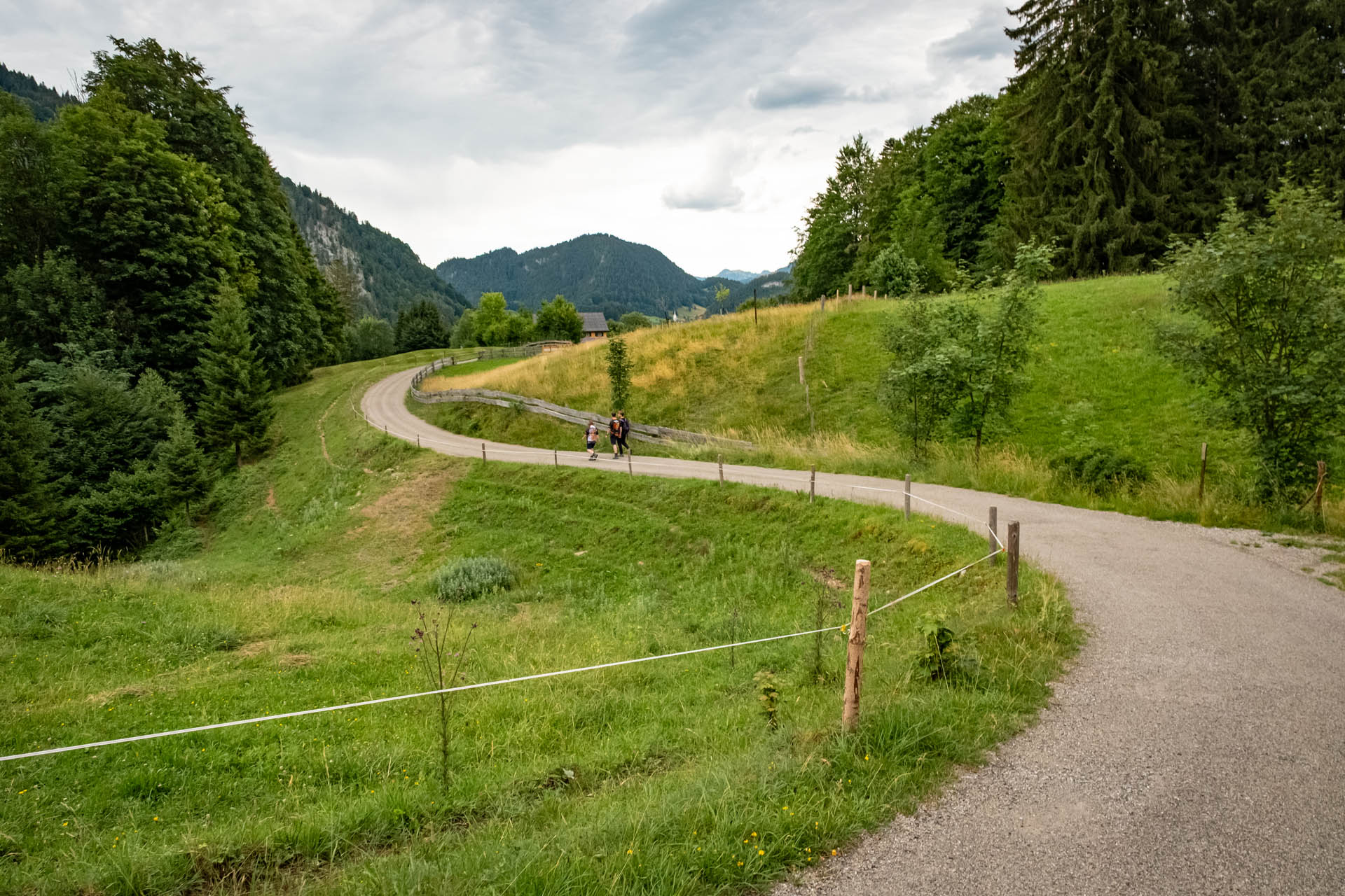 Abstiegsweg von der Alpe Dornach zum Parkplatz der Breitachklamm