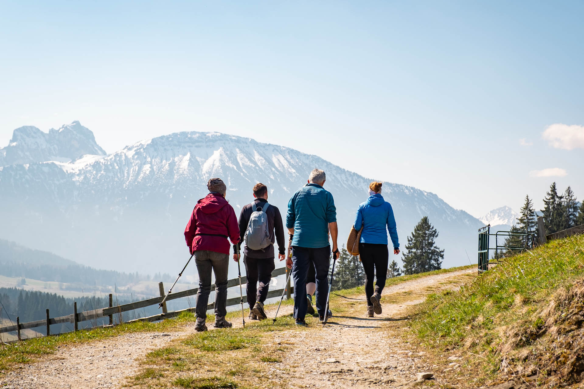 Wanderweg zur Schlossbergalm mit Blick auf die Berge - Burgruine Eisenberg
