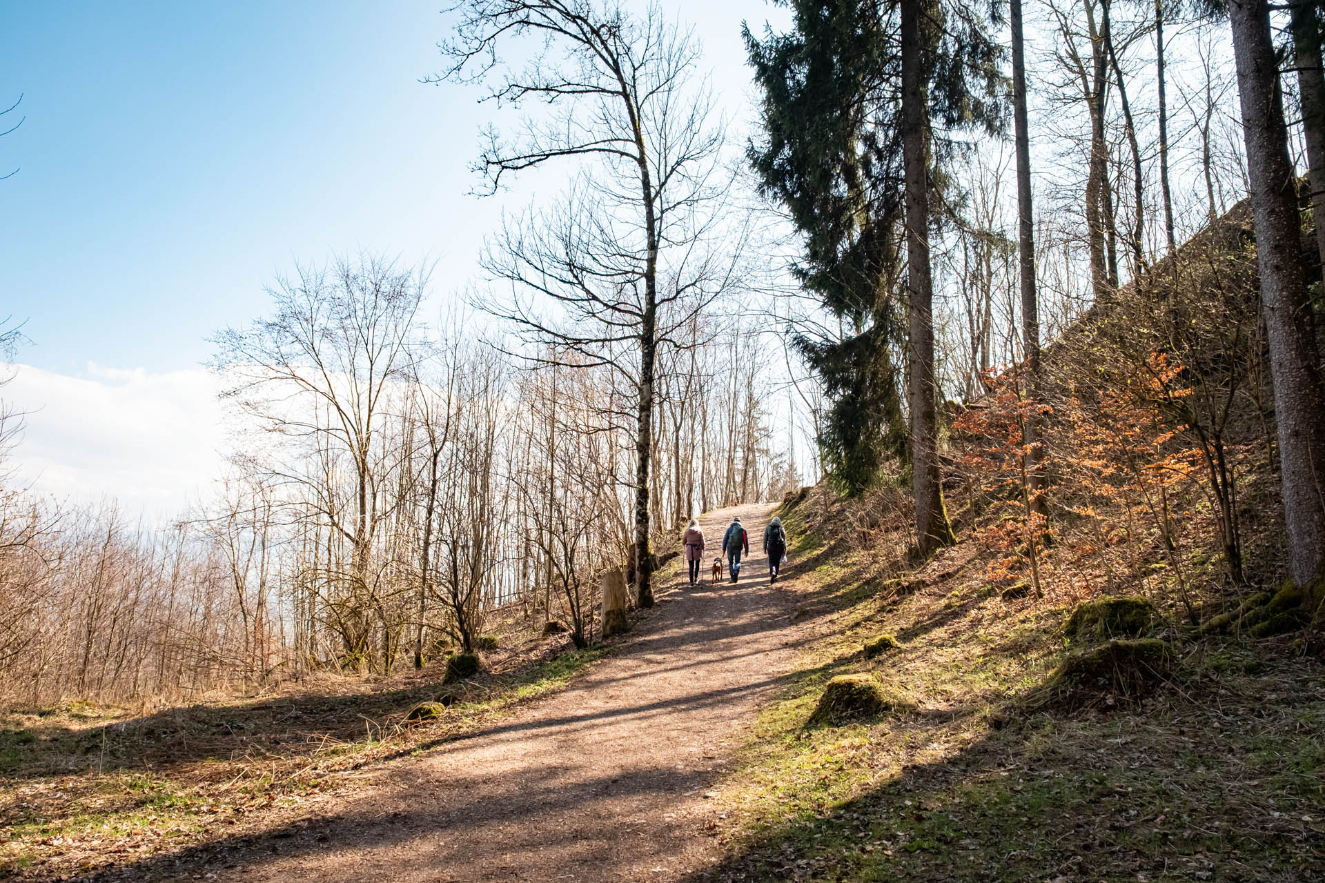Wanderweg durch den Wald zur Burgruine Eisenberg