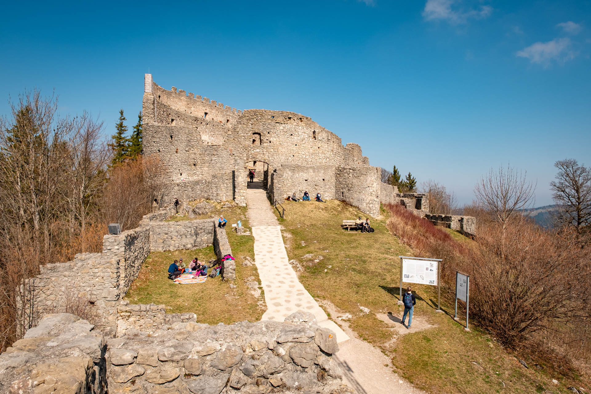 Blick auf die Burgruine Eisenberg
