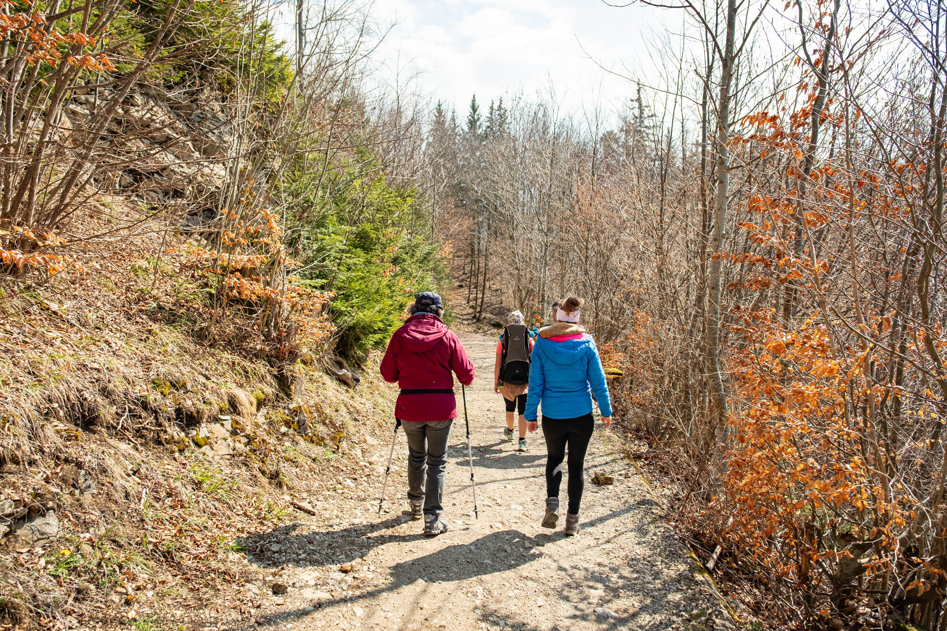 Wanderweg durch den Frühlingswald
