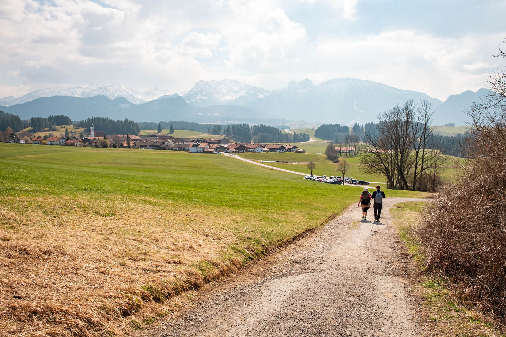 Breiter Forstweg nach Zell mit Aussicht auf die Berge