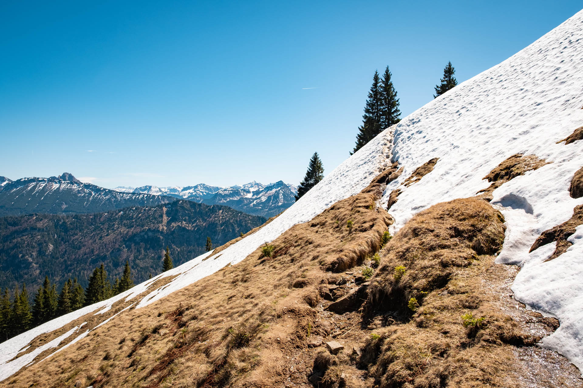 Schneefeld im Aufstieg zum Edelsberg
