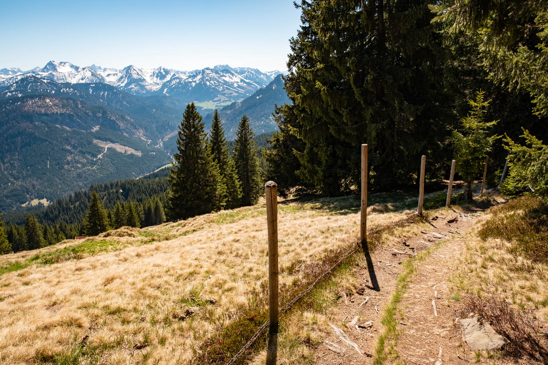 Wanderweg mit Aussicht beim Abstieg vom Edelsberg