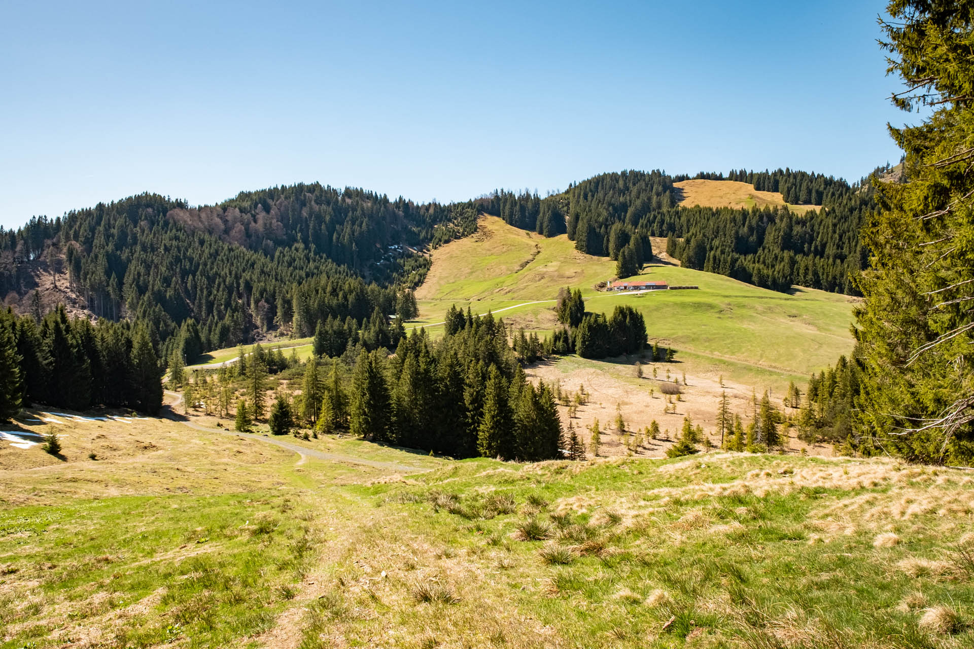 Wanderweg mit Aussicht - im Hintergrund die Alpe Stubental