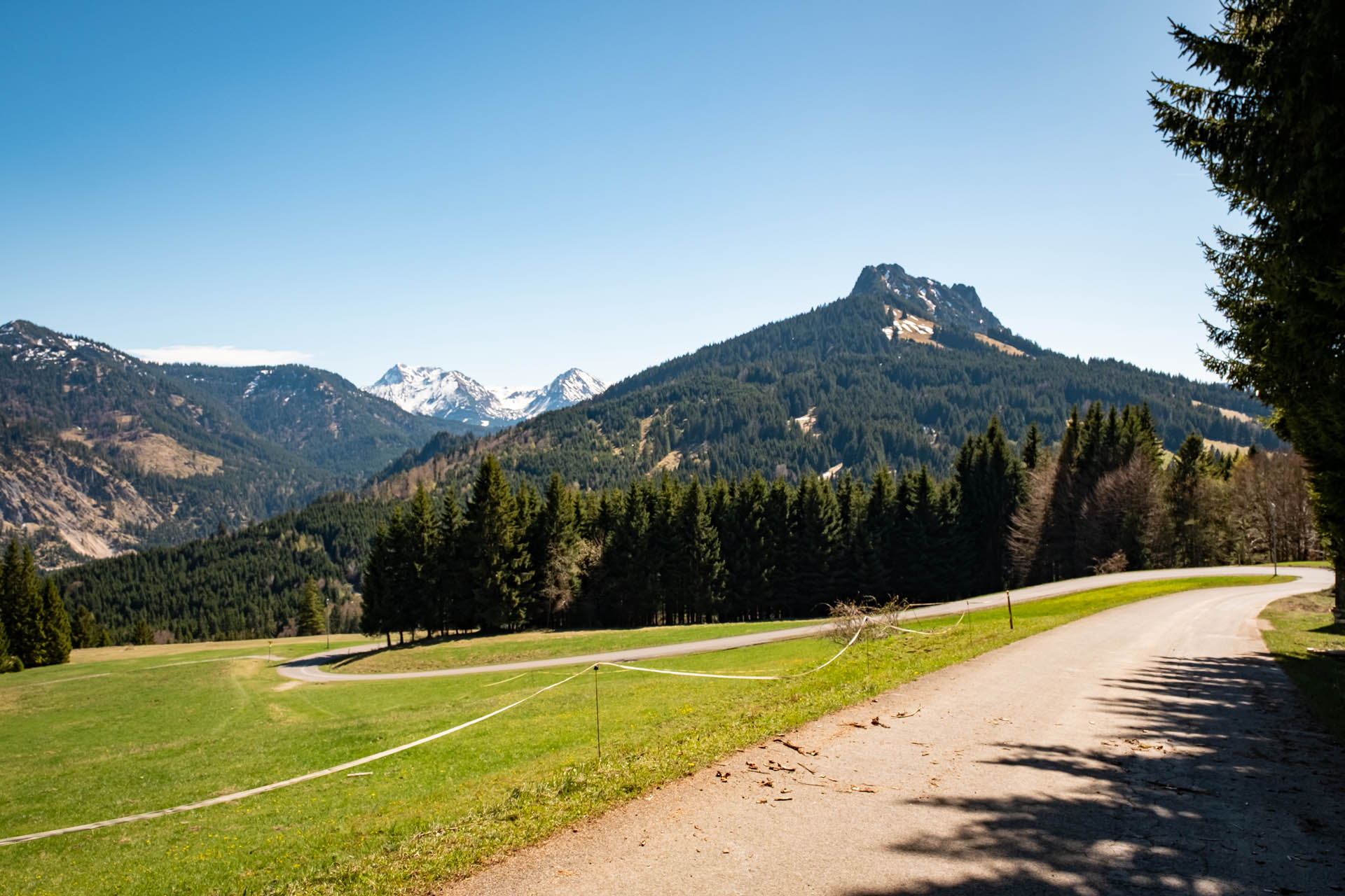 Abstieg vom Edelsberg über die Fahrstraße mit Aussicht auf Sorgschrofen und Zinken