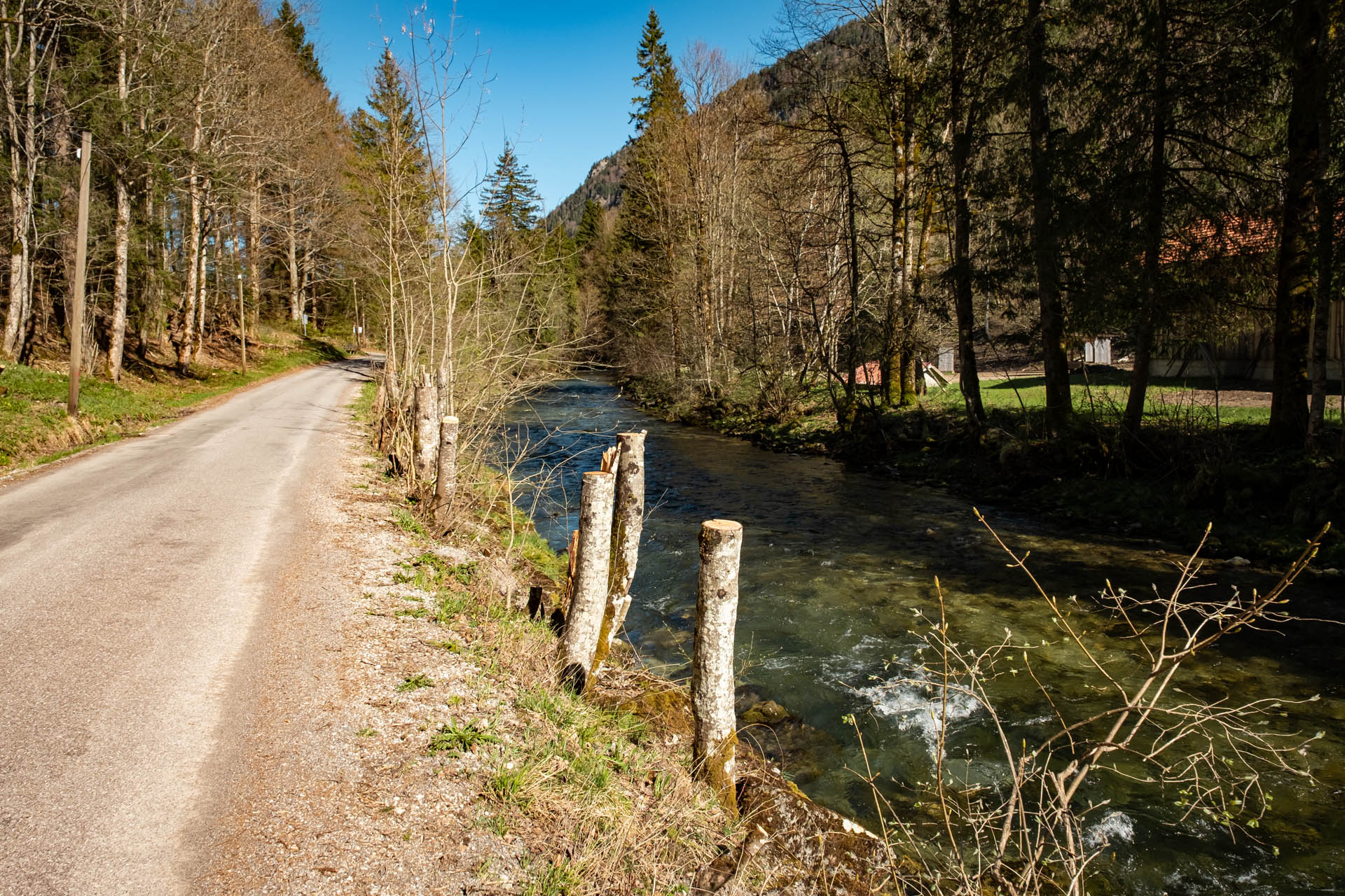 Rückweg vom Edelsberg entlang der Vils