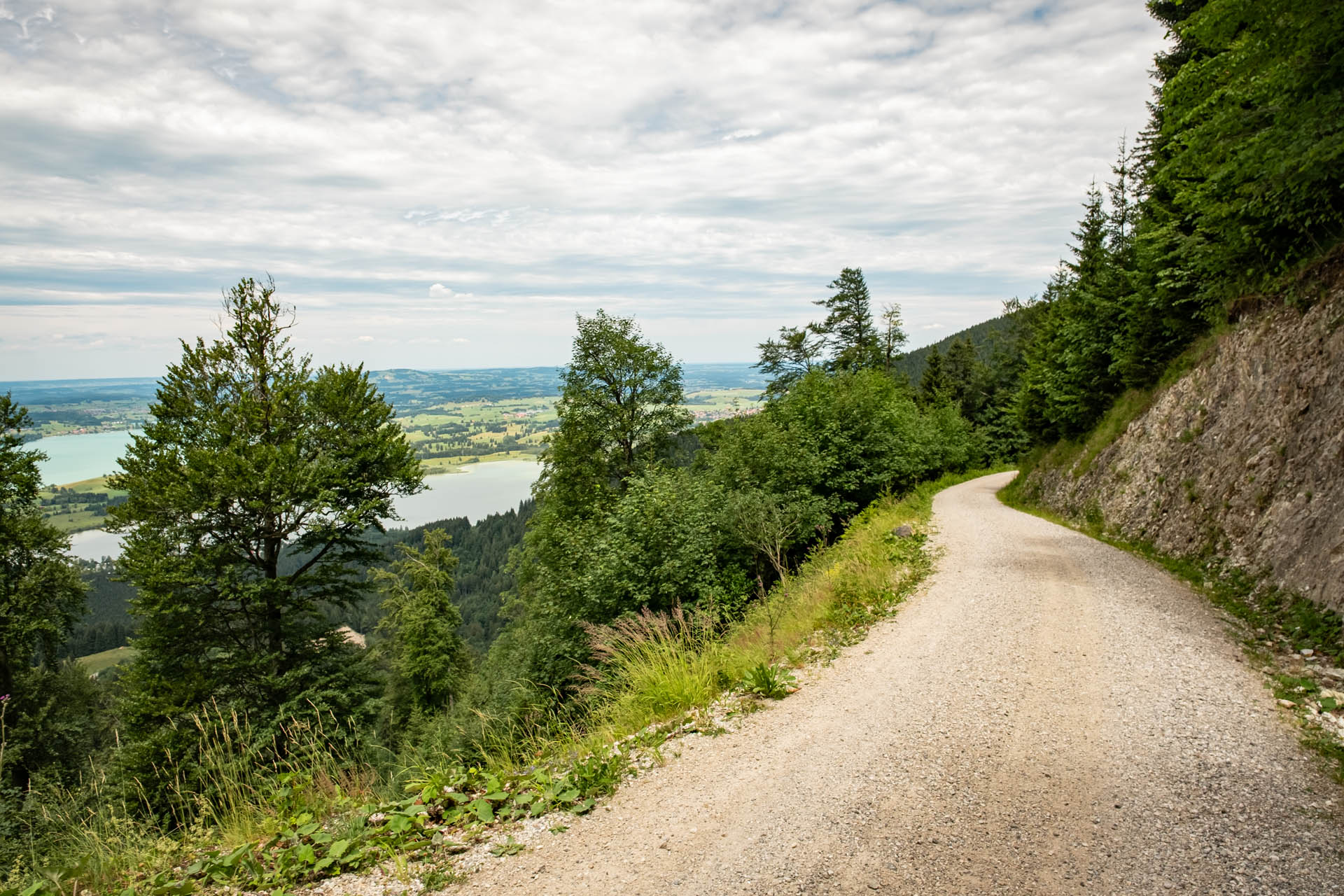 Breiter Schotterweg mit Ausblick auf den Bannwaldsee und Forggensee auf dem Weg zur Drehhütte