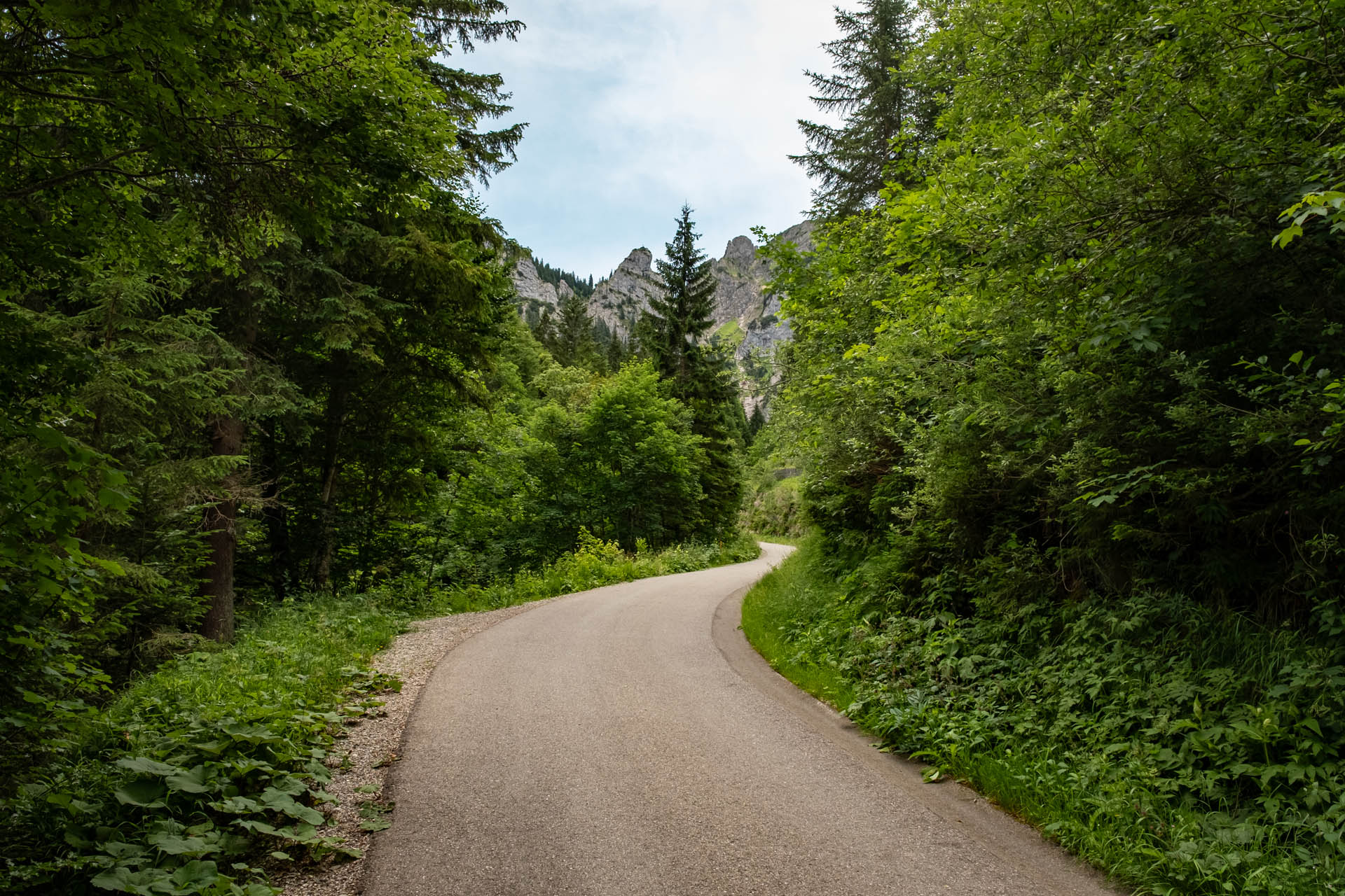 Abstieg von der Drehhütte über die Fahrstraße