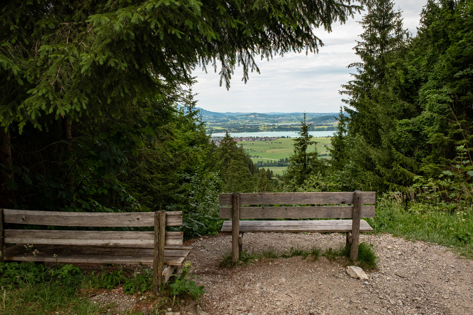 Aussichtsbänke mit Blick auf den Forggensee