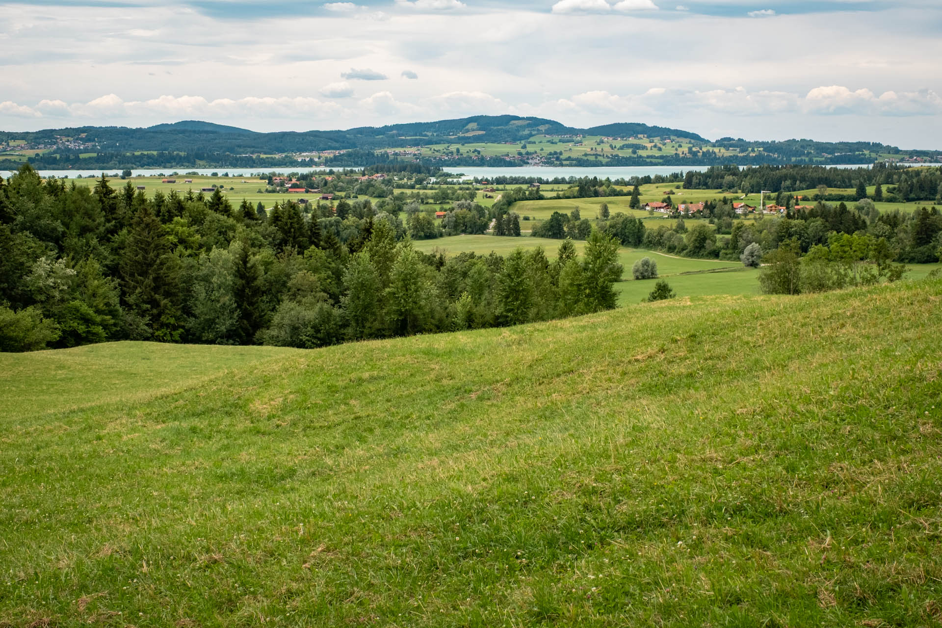 Blick auf den Forggensee