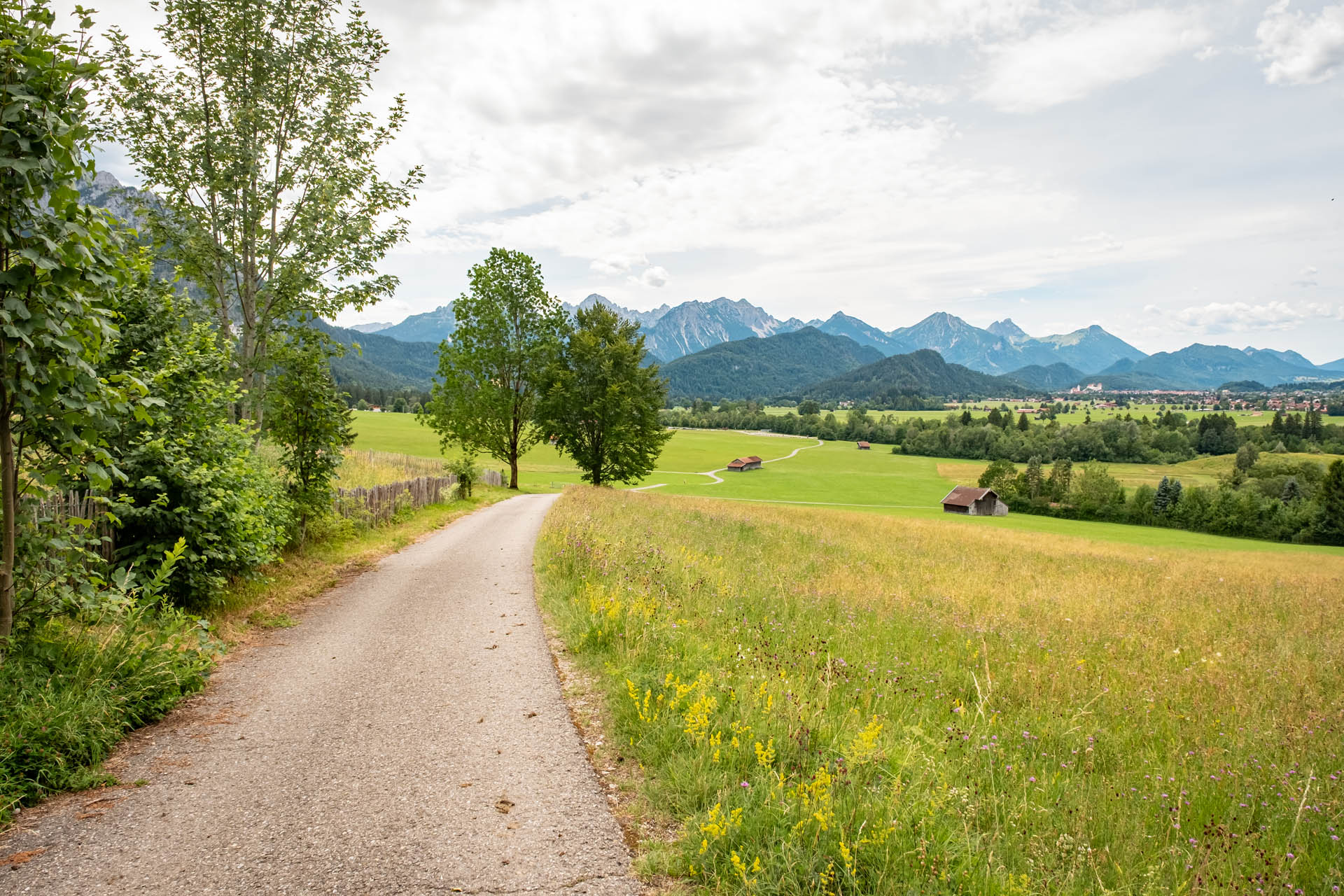 Fahrweg zurück zur Talstation der Tegelbergbahn