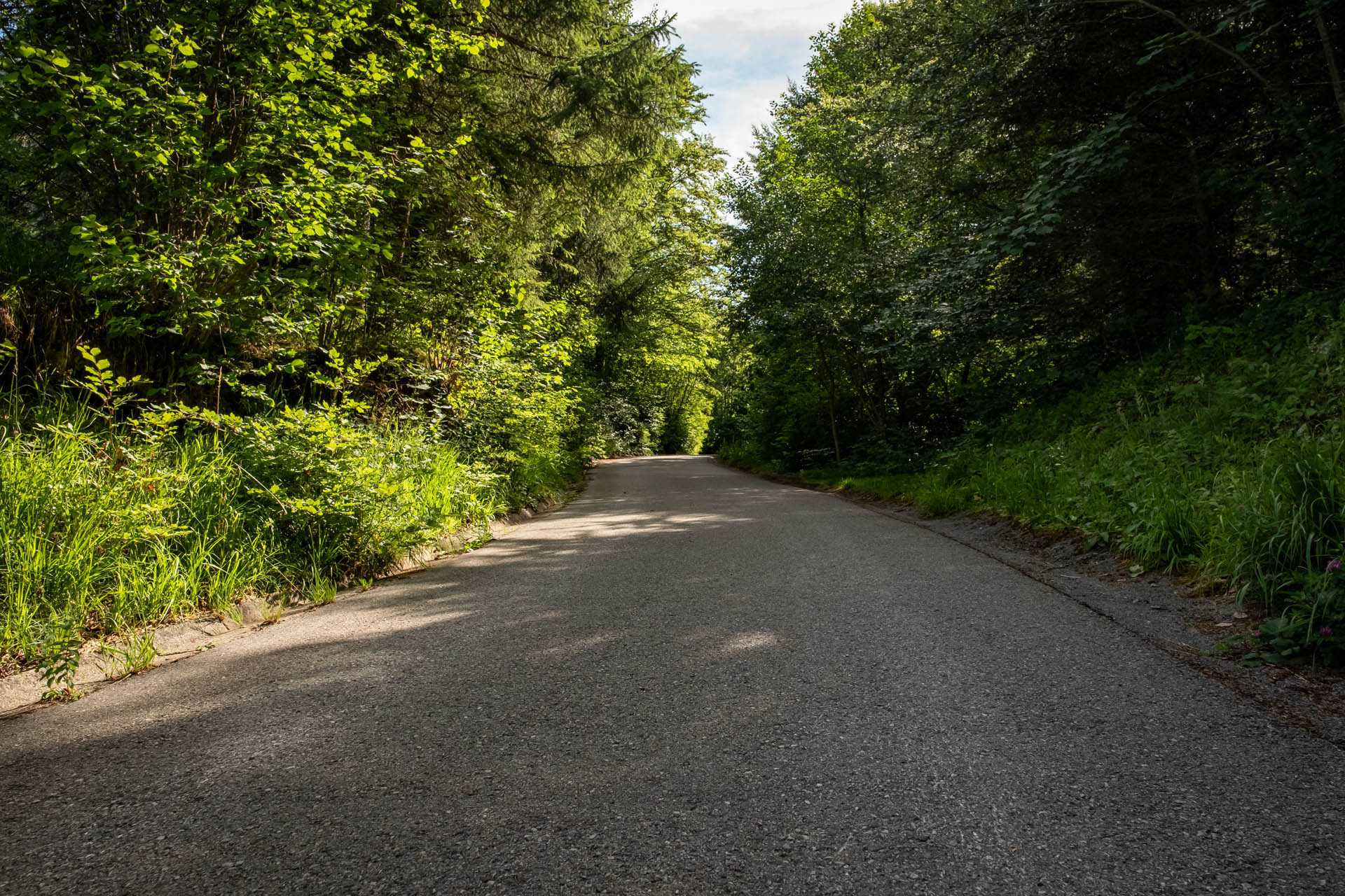 Steiler Wegabschnitt auf dem Weg zur Rohrkopfhütte