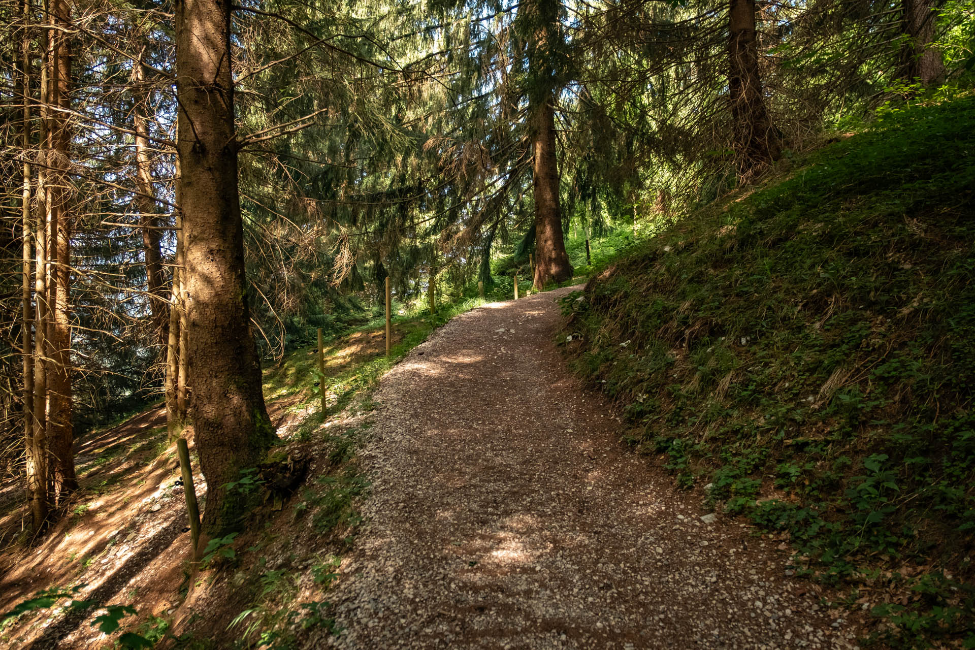 Wanderweg durch den Wald Richtung Rohrkopfhütte
