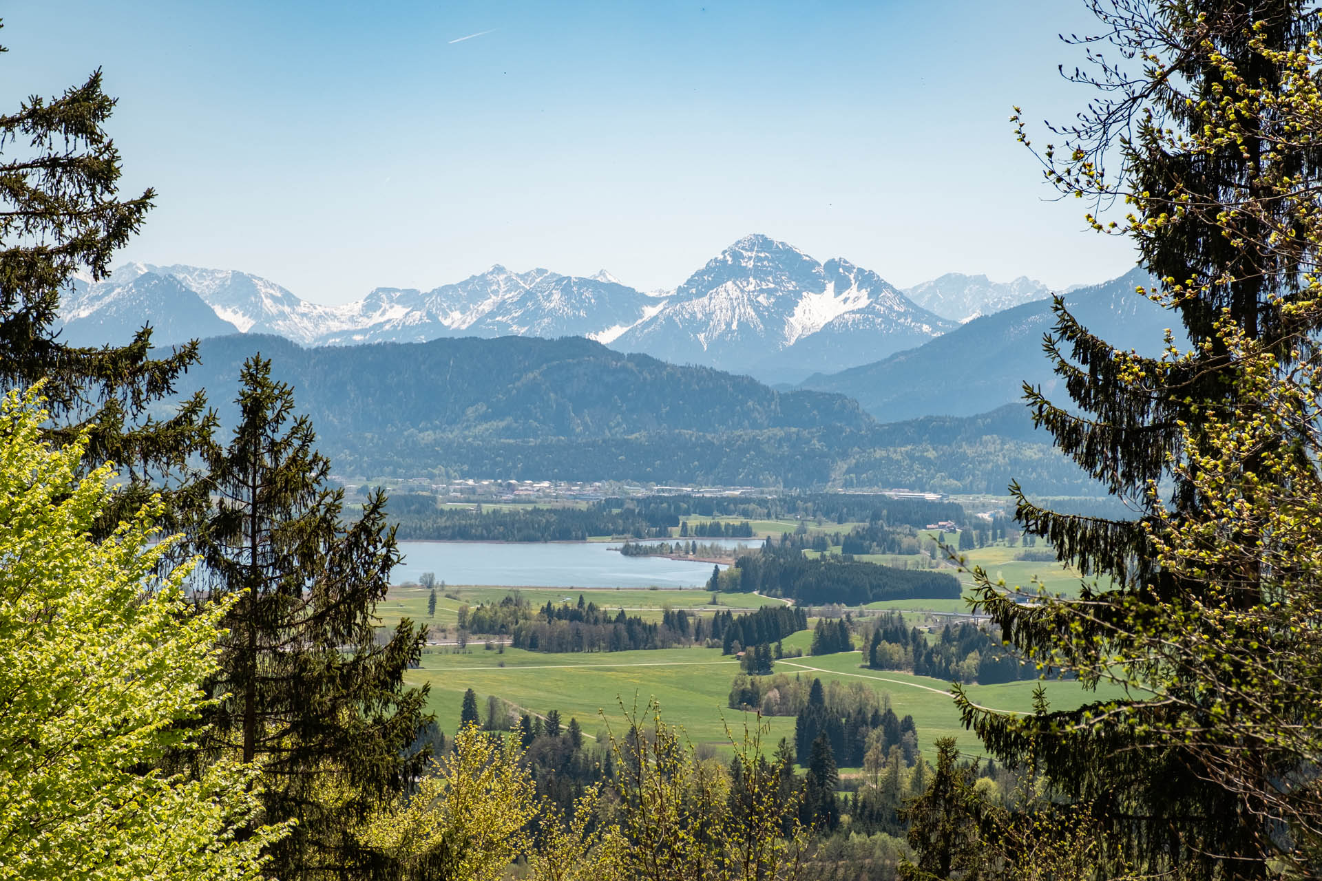 Blick auf die Ostallgäuer Seen- & Berglandschaft