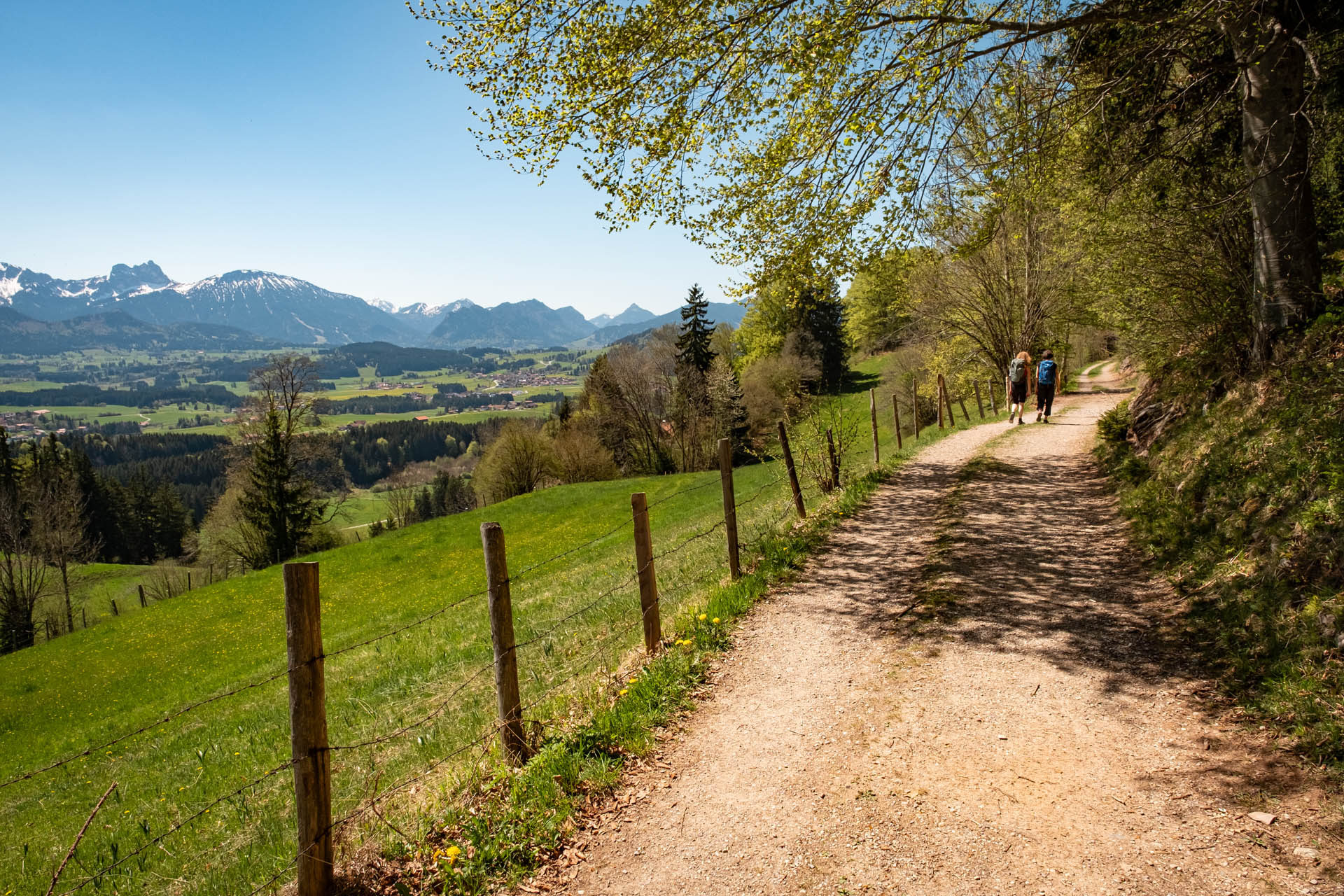 Wanderweg zur Alpe Beichelstein mit Bergblick