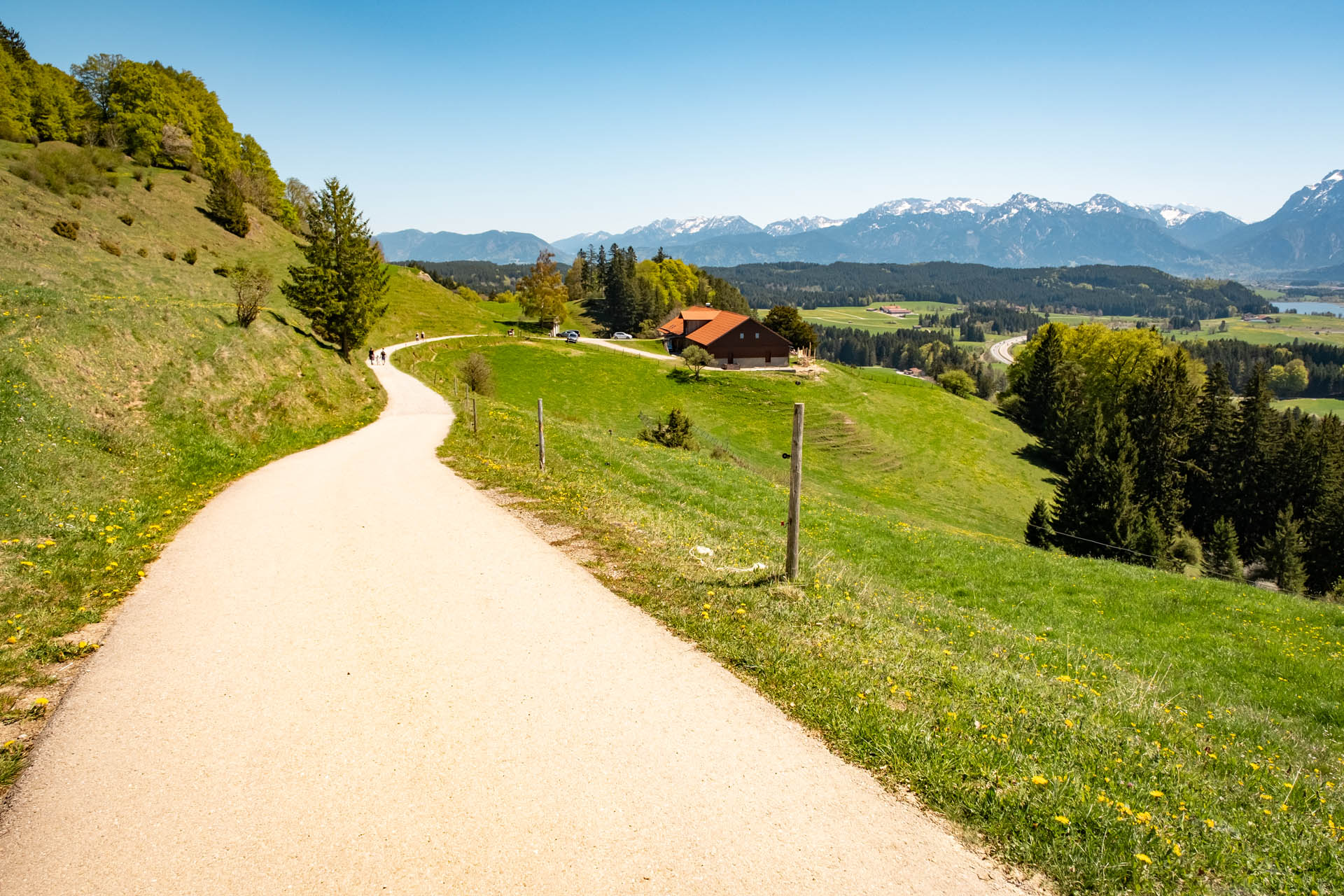 Abstieg zur Alpe Beichelstein