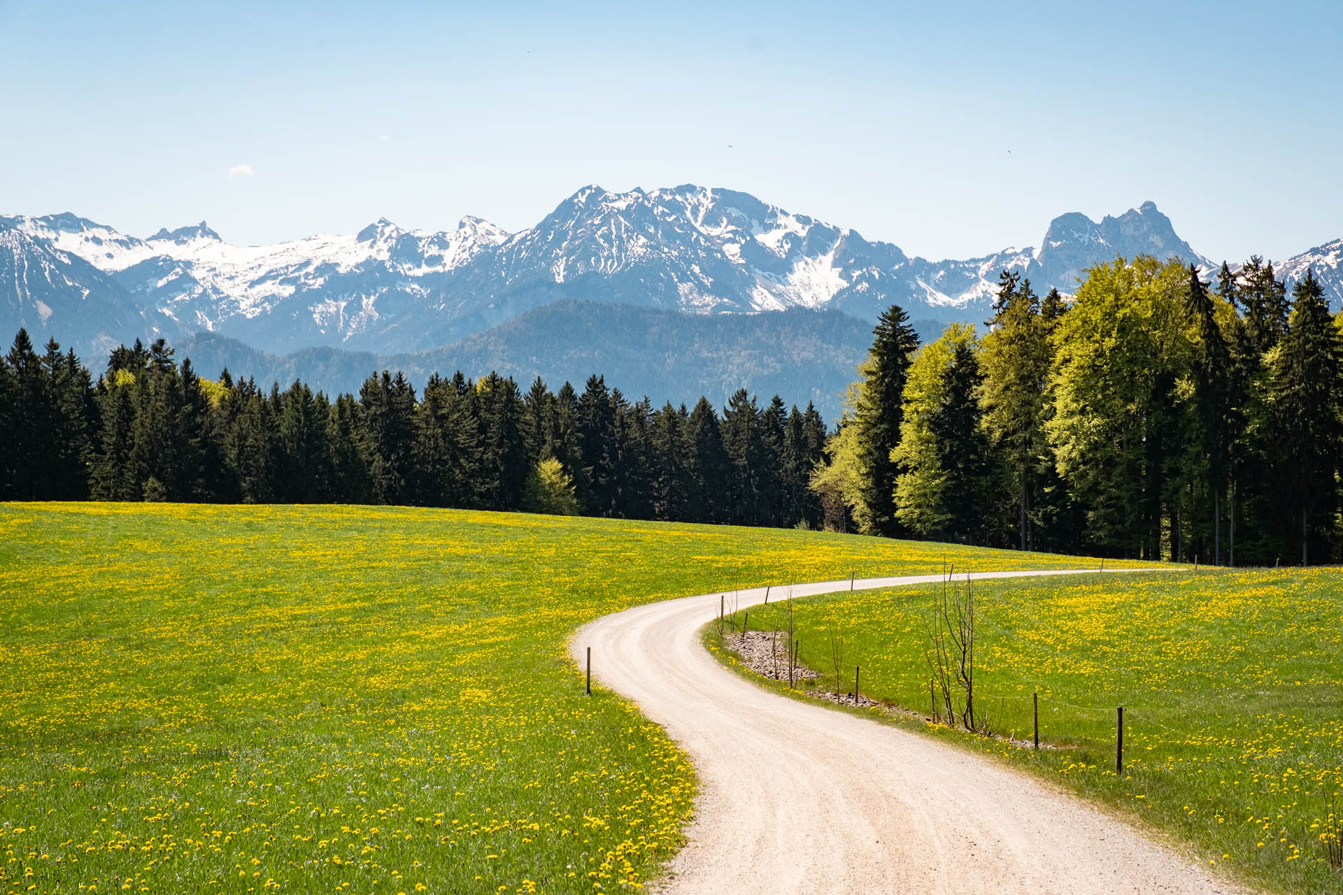 Ostallgäuer Bergpanorama