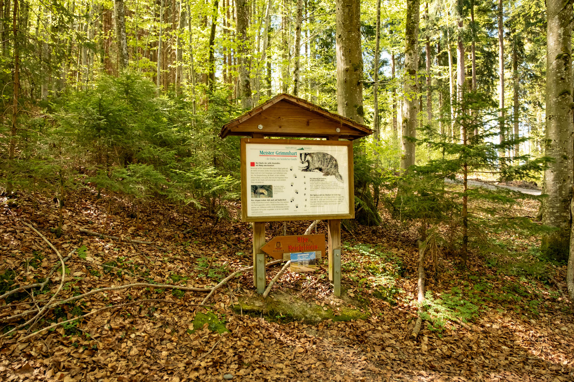 Naturpfad Senkele Richtung Alpe Beichelstein