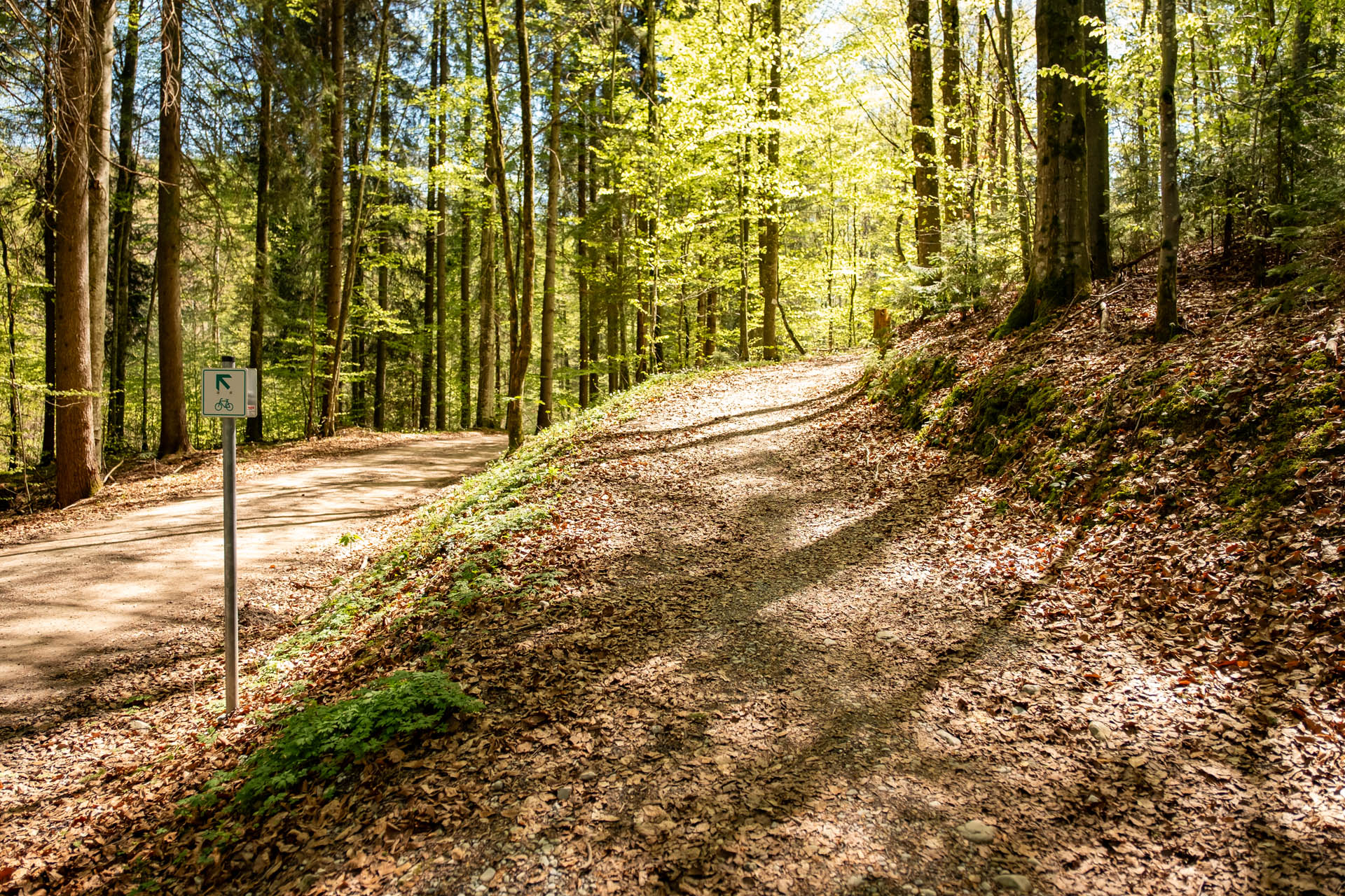 Wanderweg zur Alpe Beichelstein