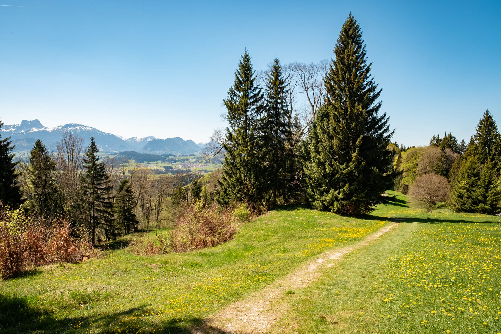 Wanderweg zur Alpe Beichelstein