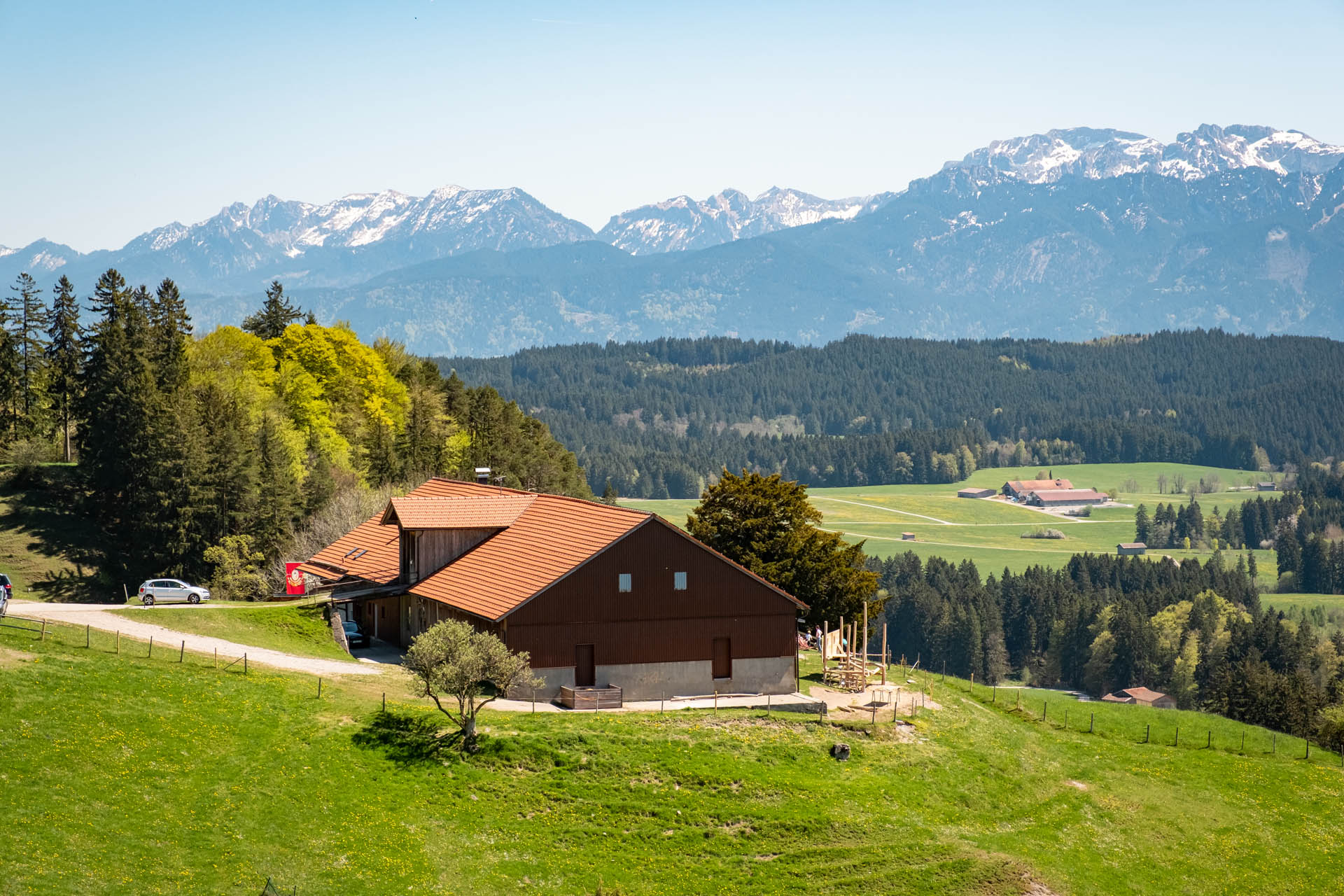 Alpe Beichelstein - Schöne Rundwanderung mit toller Aussicht im Ostallgäu
