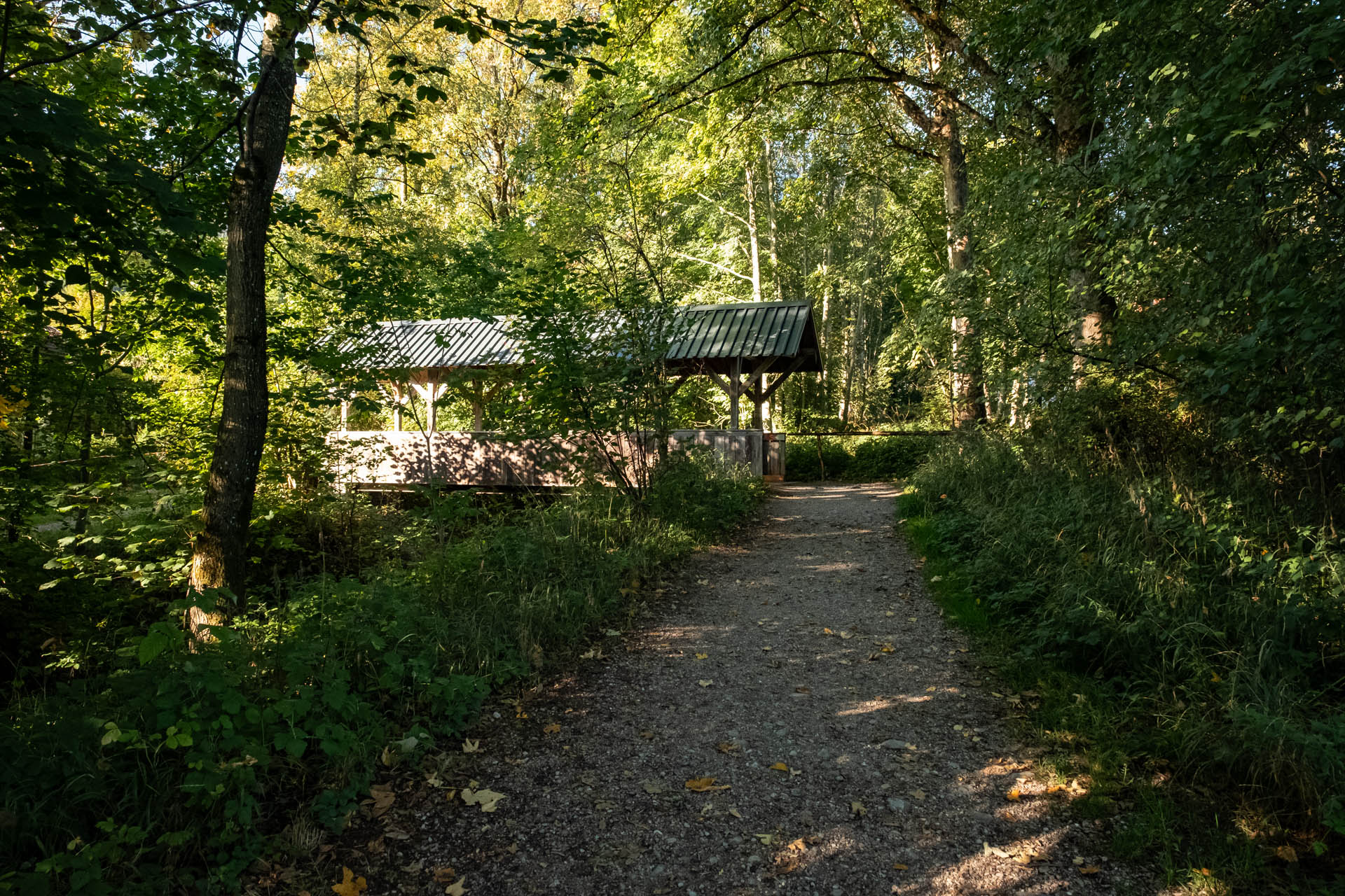 Wanderweg mit Brücke in Pfronten-Kappel zur Alpspitz