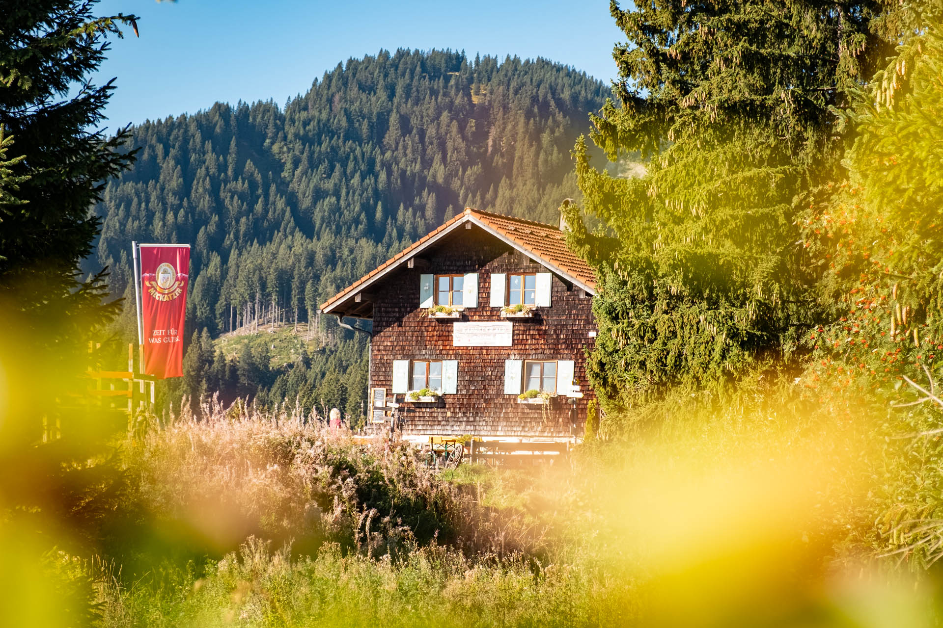 Kappeler Alp bei Pfronten an der Alpspitz