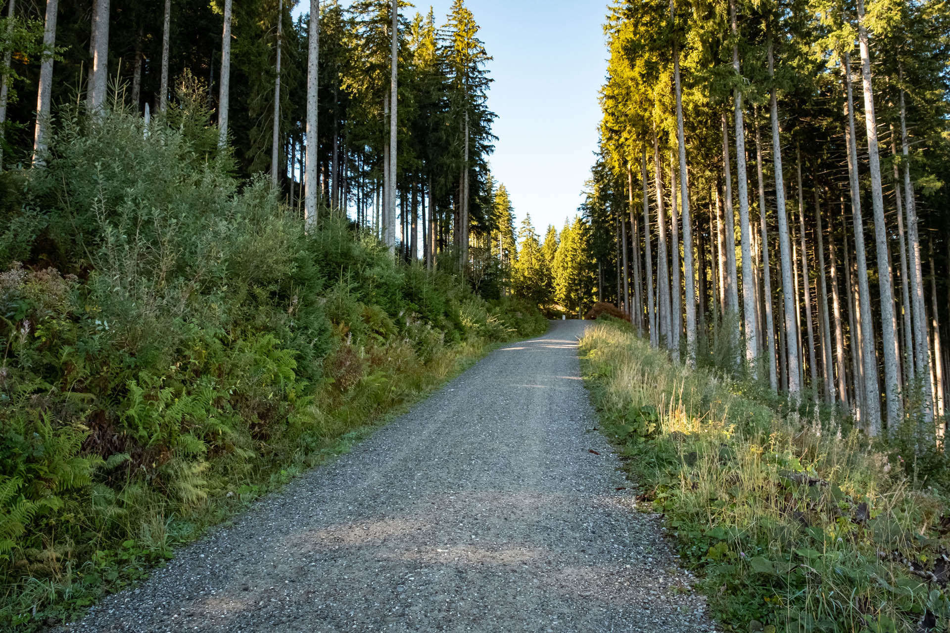 Schotterweg zum Sportheim Böck