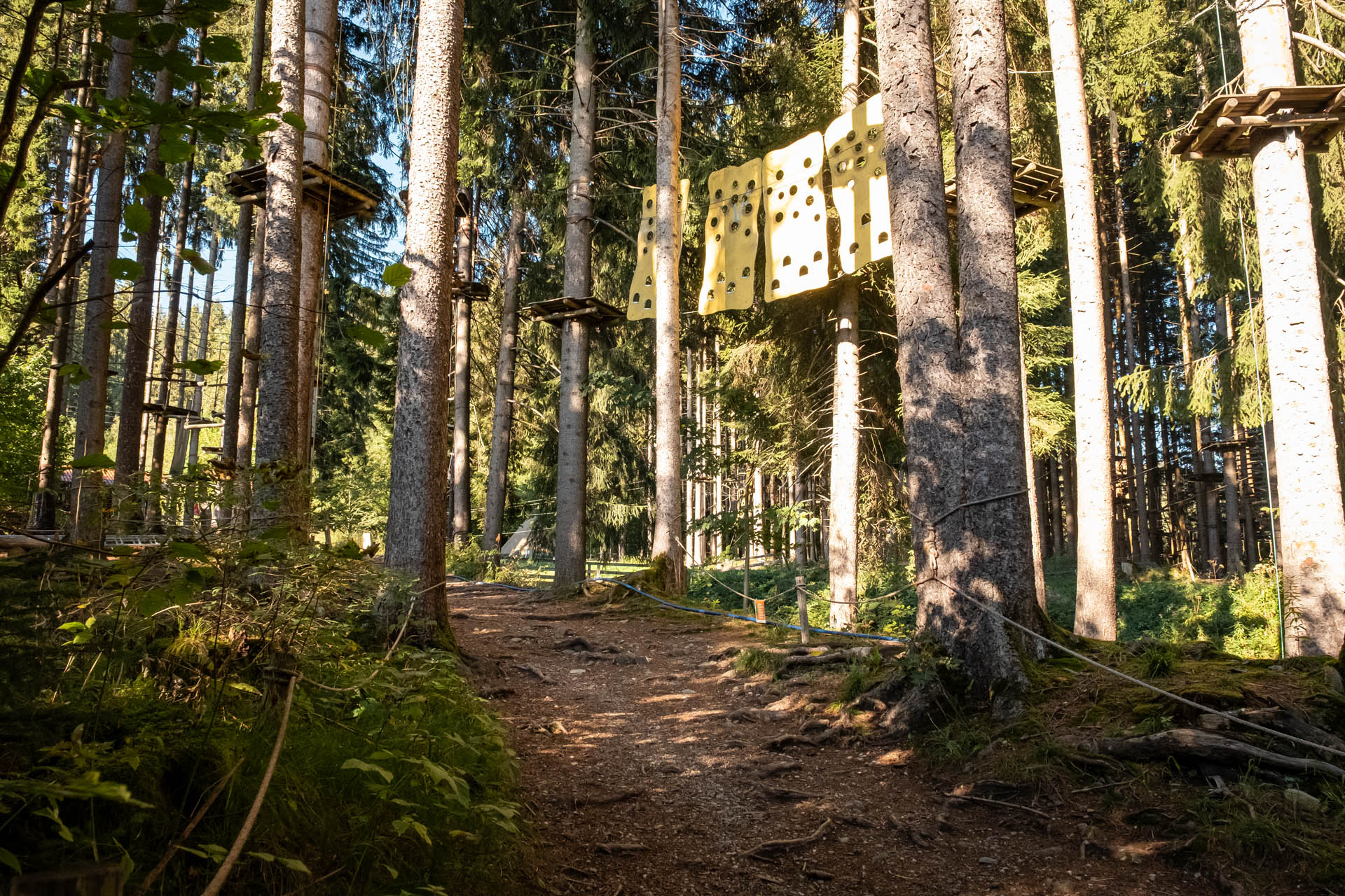 Wanderweg unter den Anlagen des Waldseilgarten Höllschlucht in Pfronten